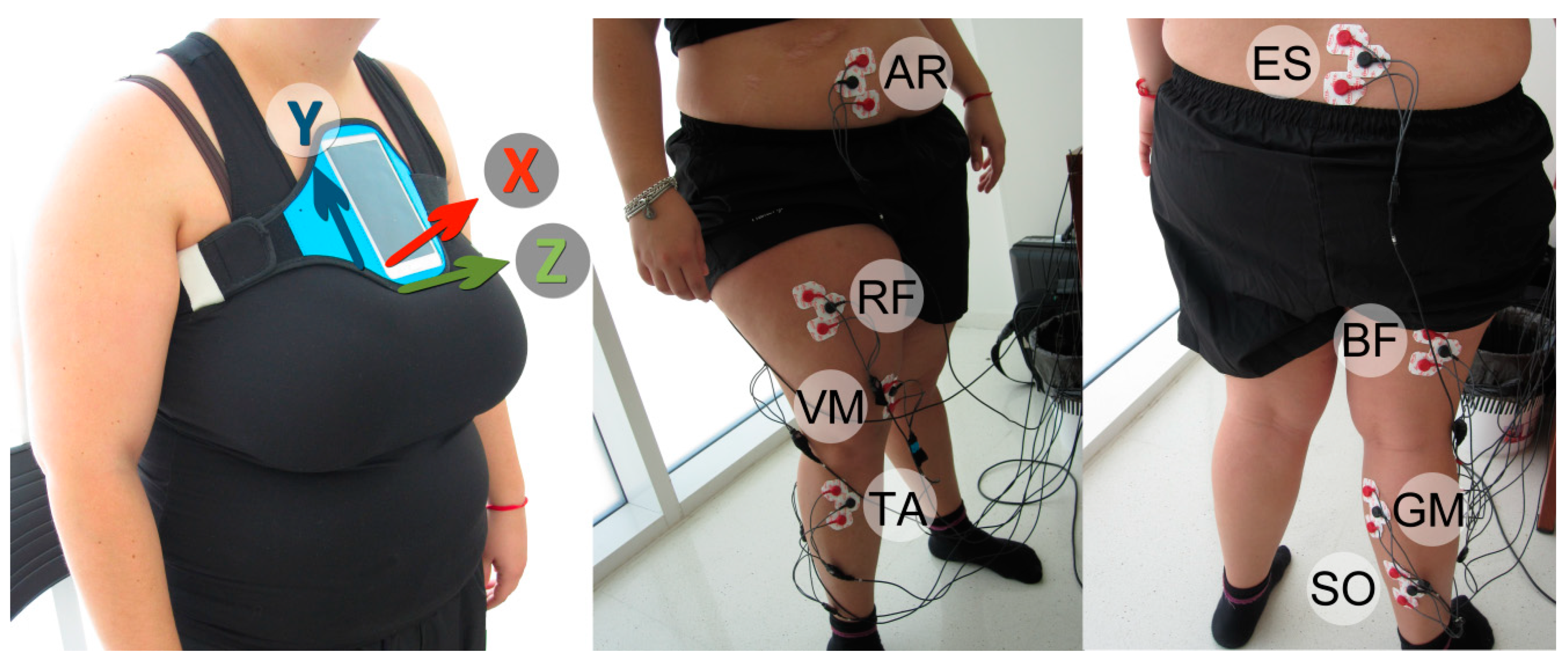 Sensors | Free Full-Text | Fatigue Detection during Sit-To-Stand Test Based  on Surface Electromyography and Acceleration: A Case Study
