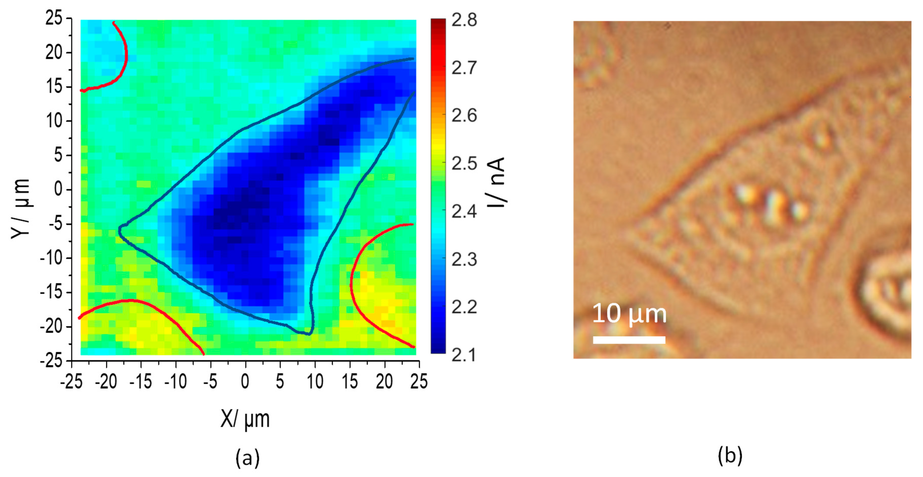 Sensors 19 04386 g007