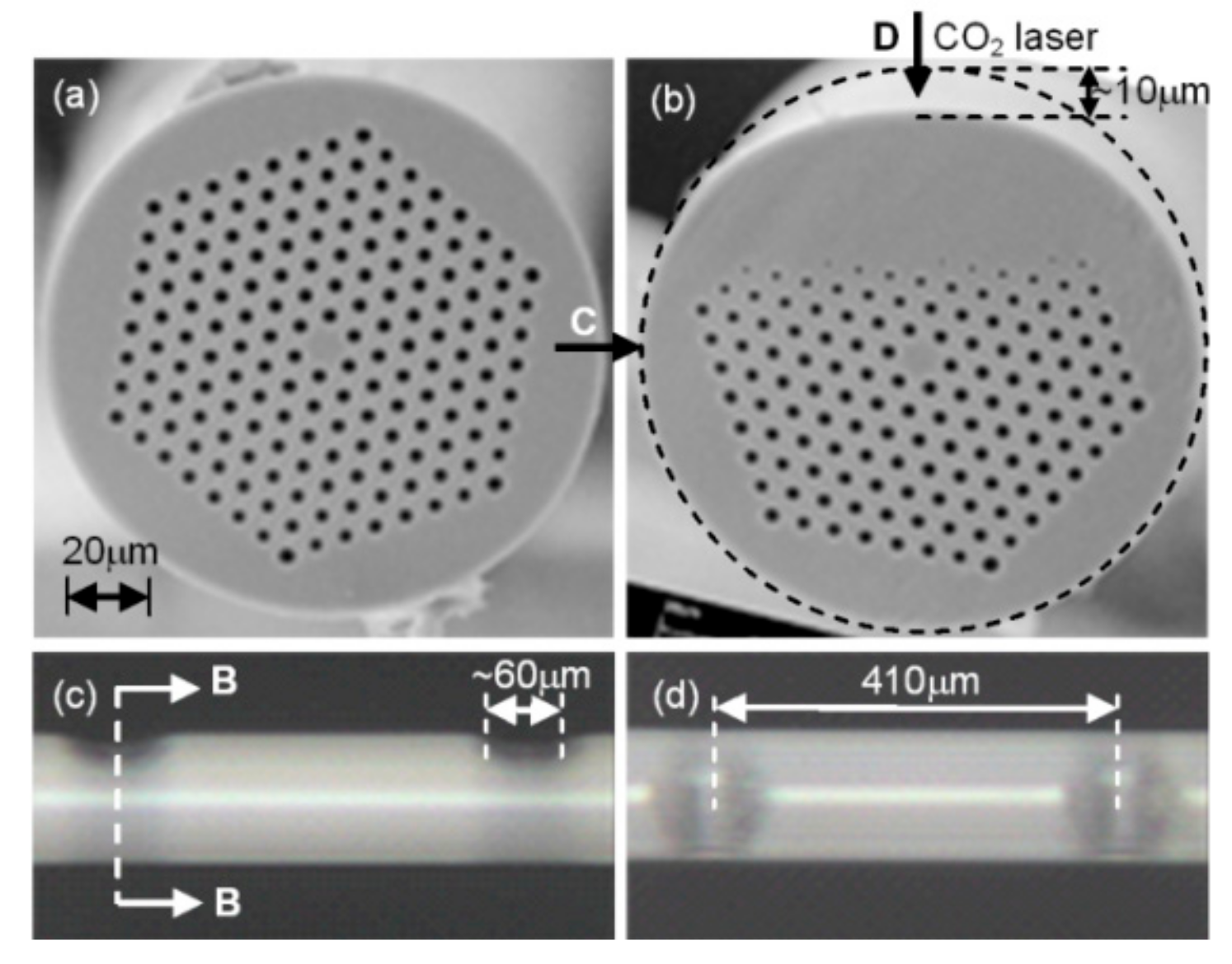 Sensors 19 04473 g006