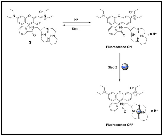 Sensors | Free Full-Text | A New pH-Dependent Macrocyclic Rhodamine B ...