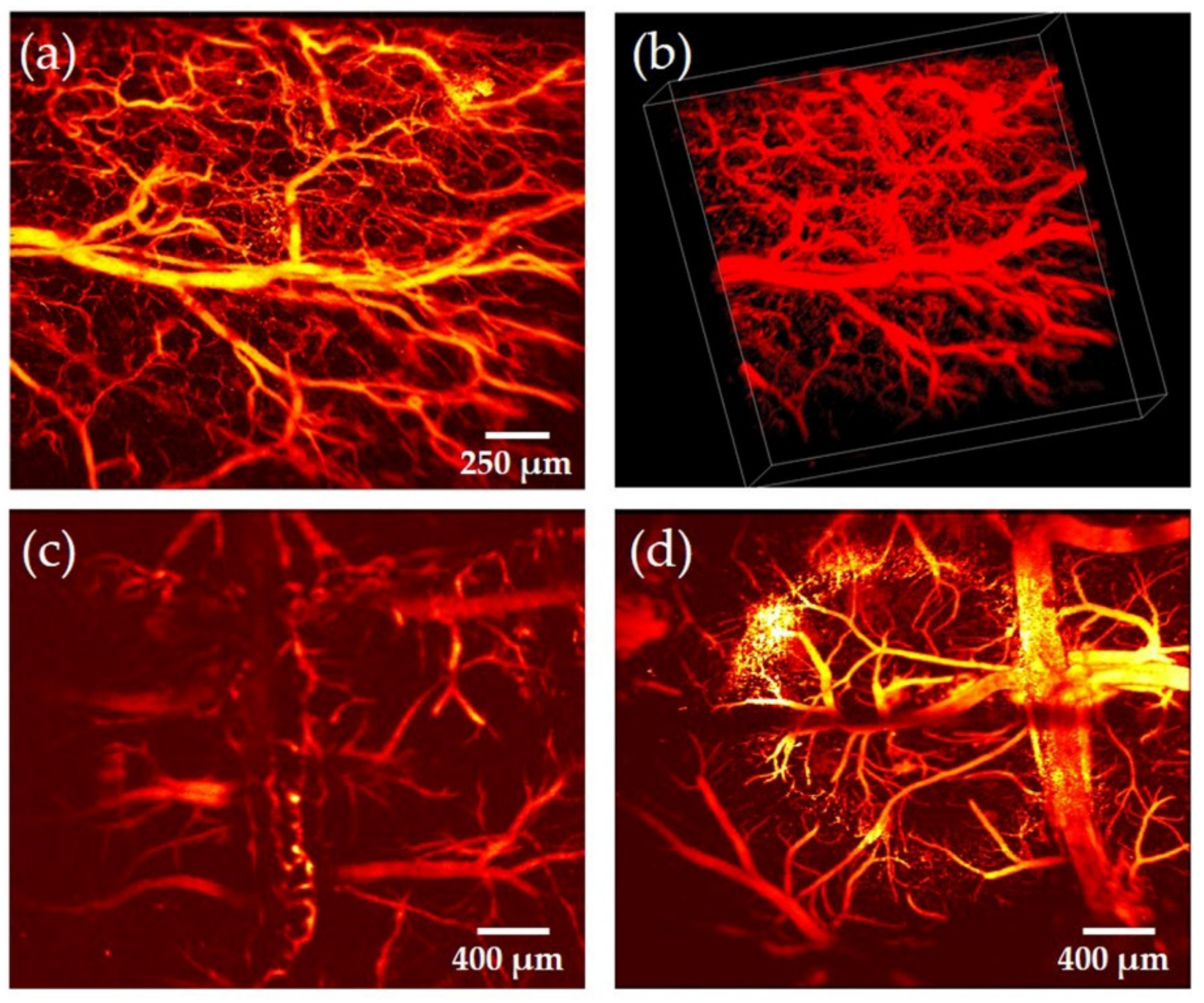 Sensors 19 04632 g012 Sensors 19 04632 g012