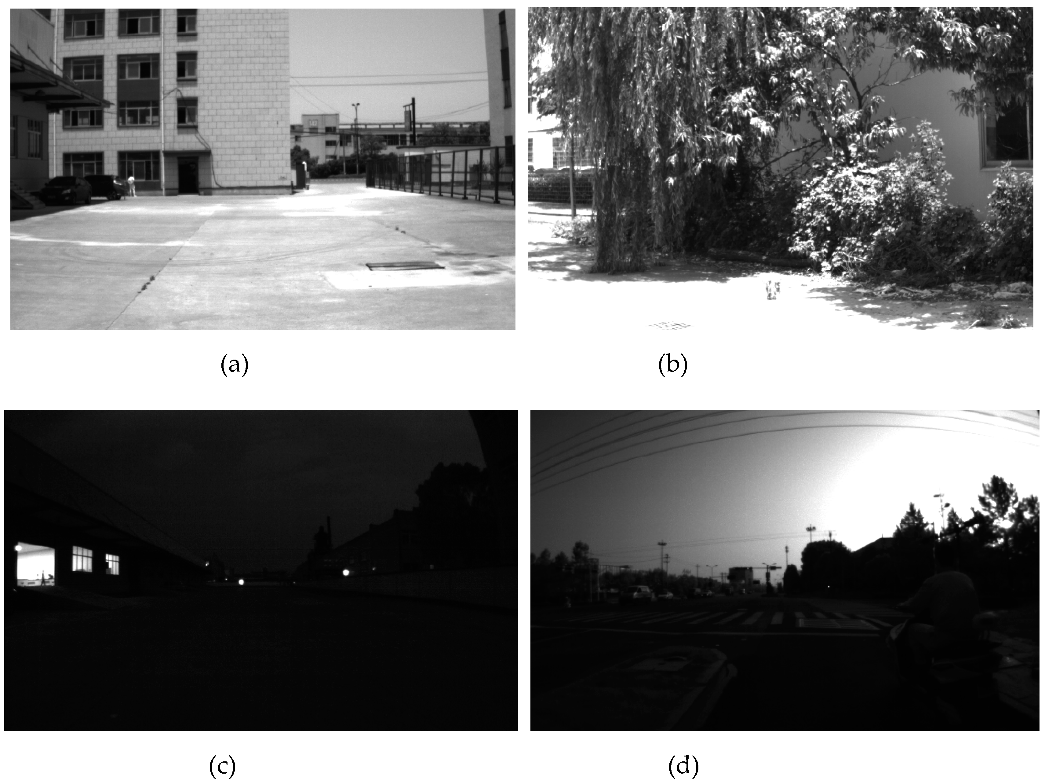 Sensors 19 04816 g005