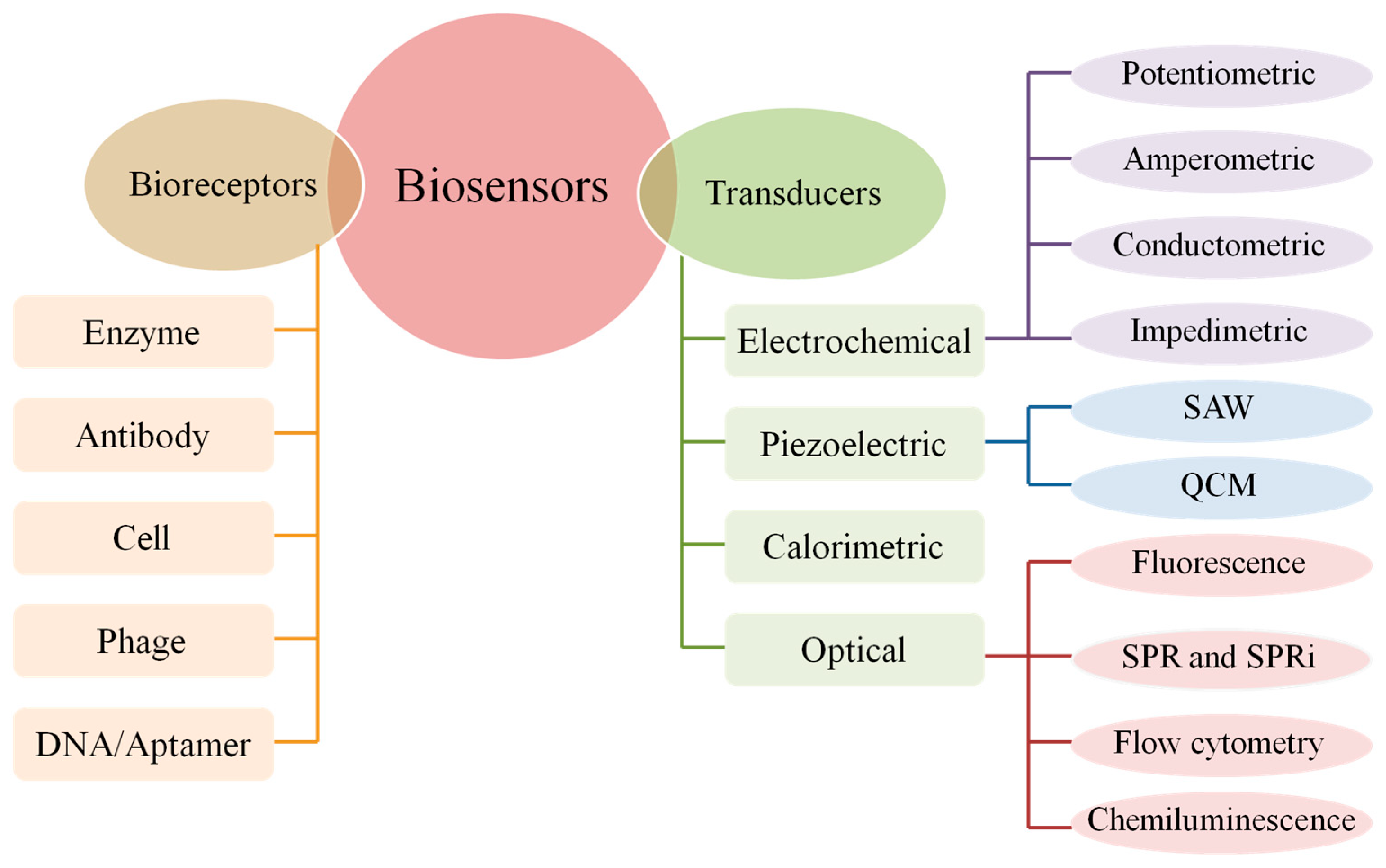 Sensors | Free Full-Text | Review of Electrochemical DNA 