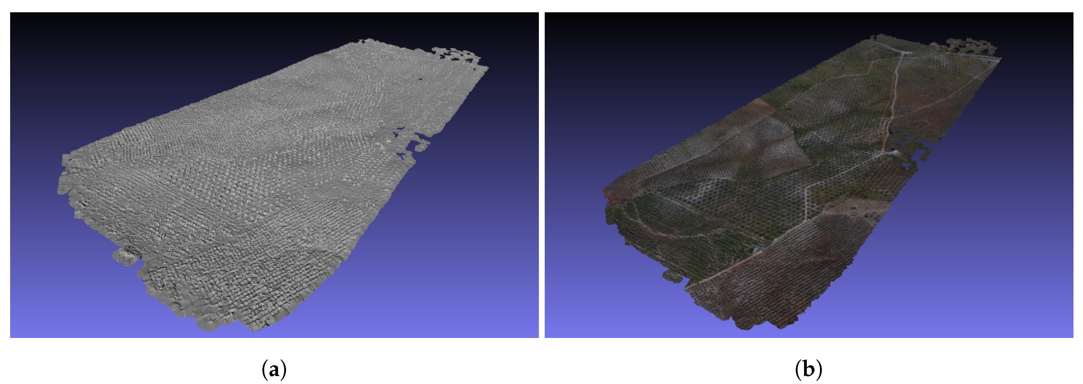 Sensors 19 04973 g011