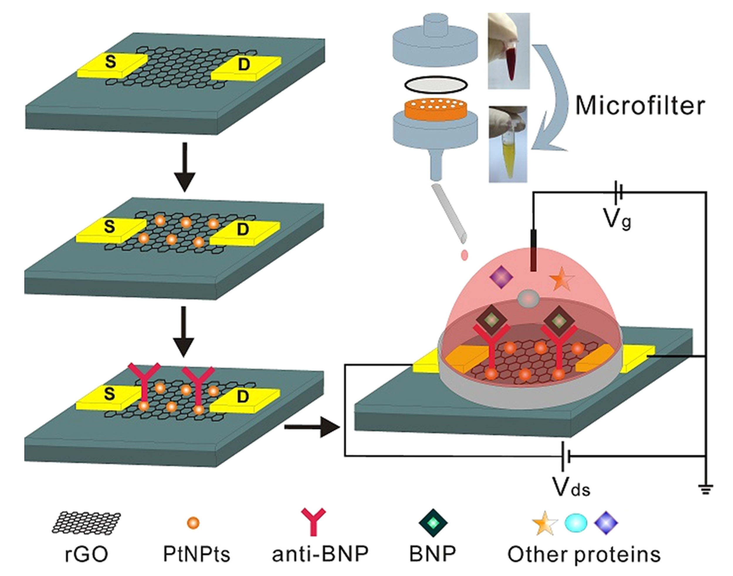 Sensors 19 05003 g004