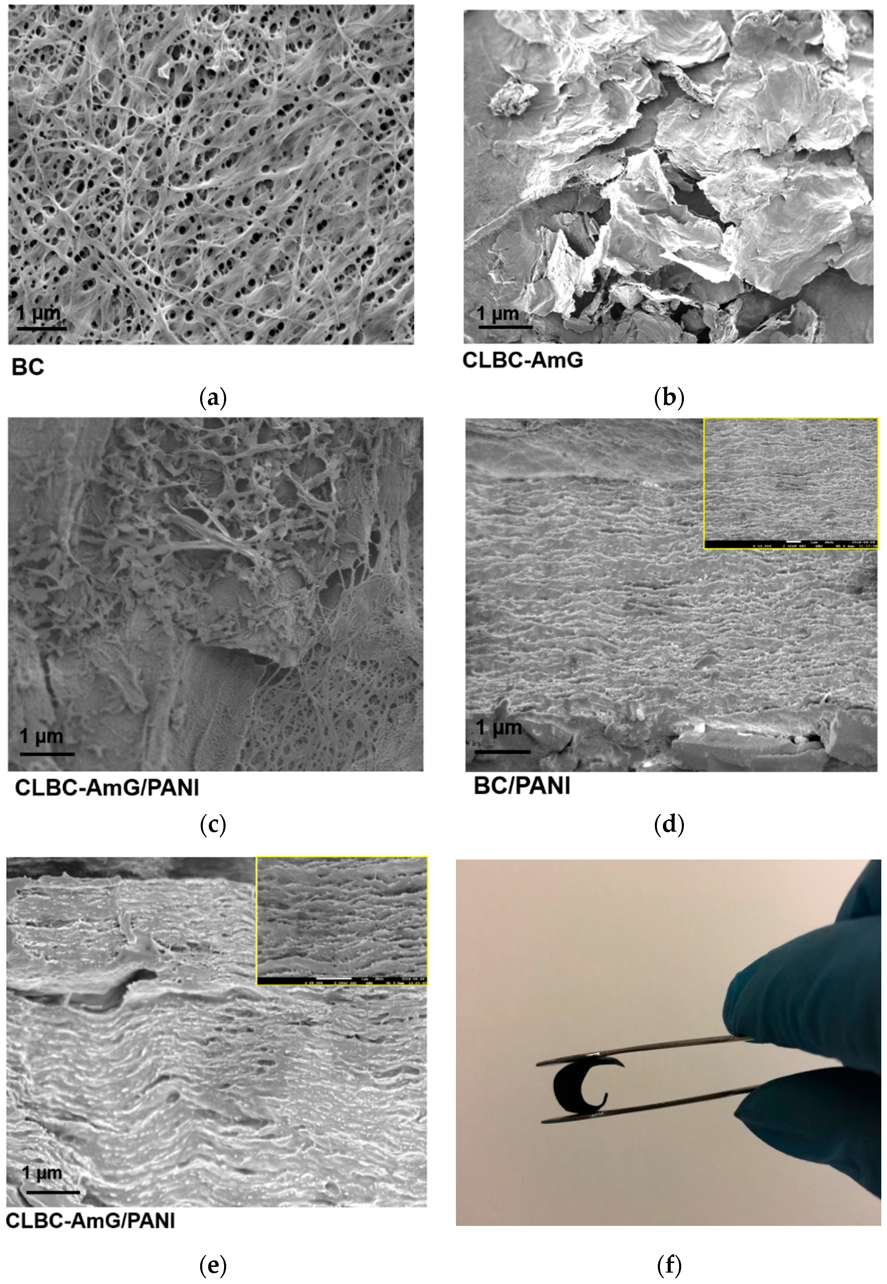 Sensors Free Full Text Cellulose Nanopaper Cross Linked