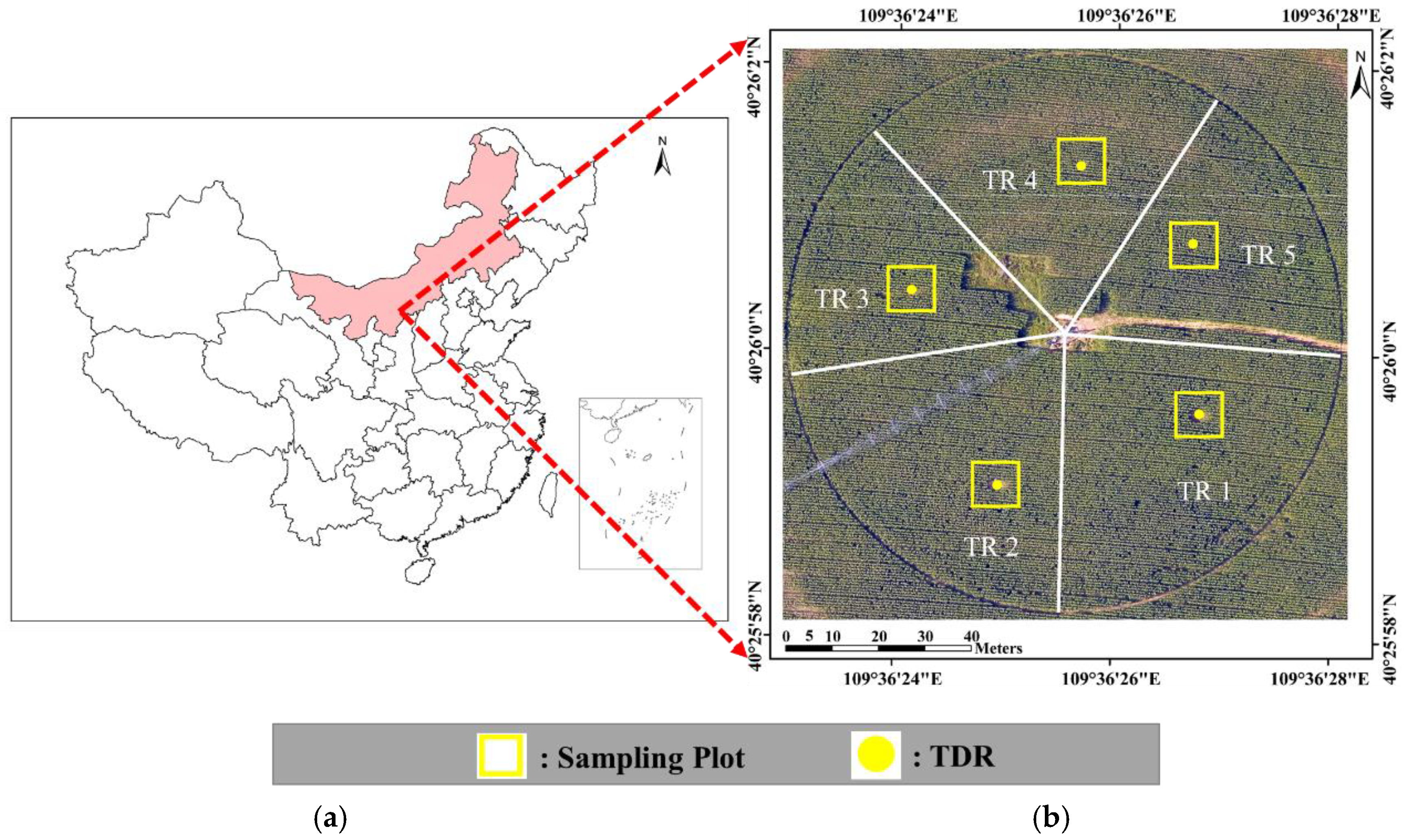 Sensors | Free Full-Text | Maize Crop Coefficient Estimated from