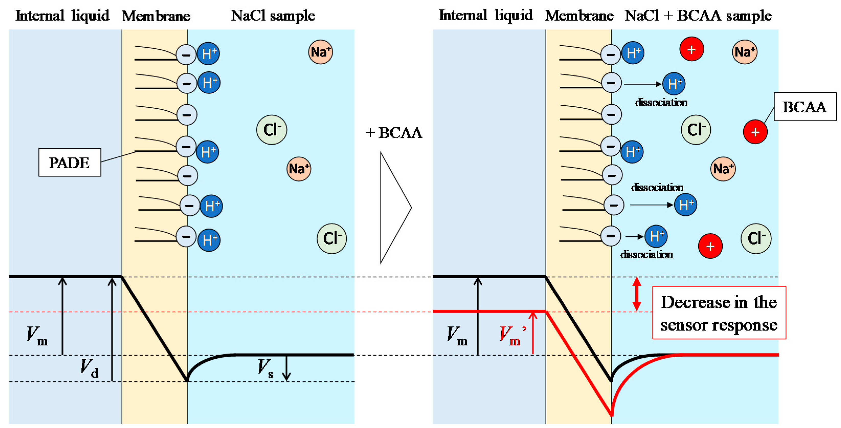 Sensors 19 05251 g008