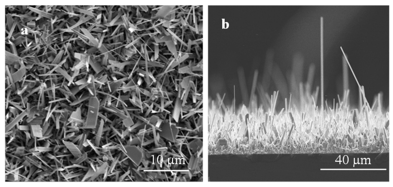 Sensors 19 05301 g002