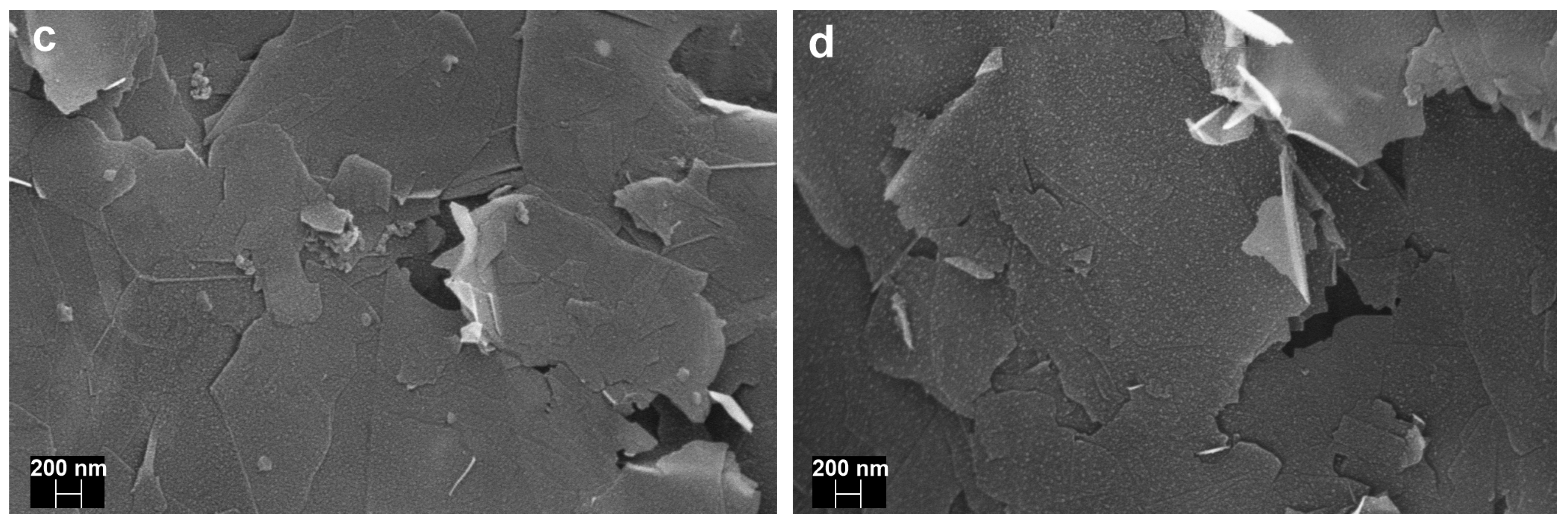 Sensors 19 05409 g006b