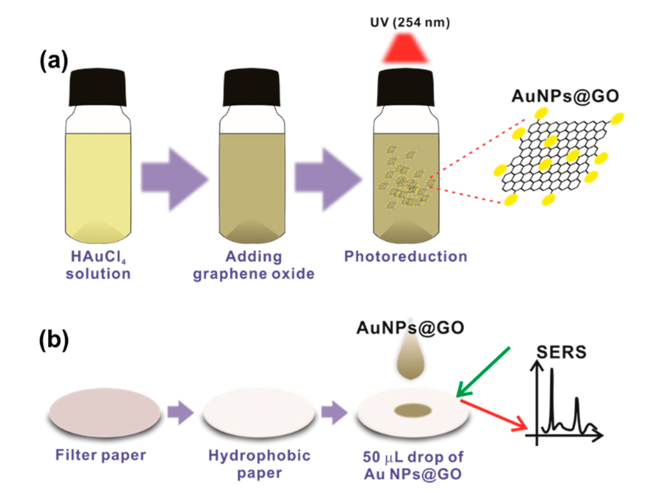 Sensors | Free Full-Text | Hydrophobic Paper-Based SERS Sensor Using Gold  Nanoparticles Arranged on Graphene Oxide Flakes | HTML