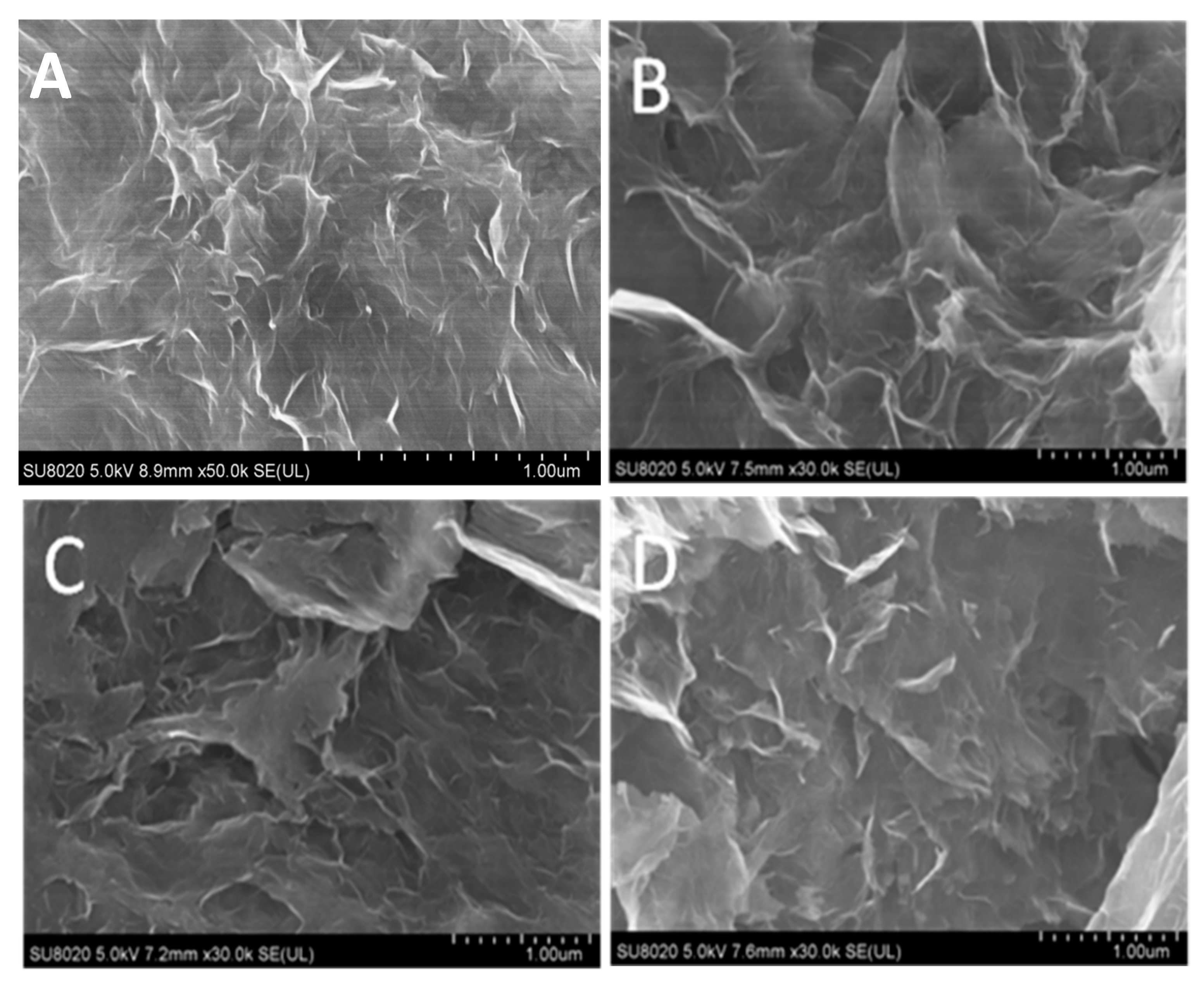 Sensors 19 05483 g001 Sensors 19 05483 g001