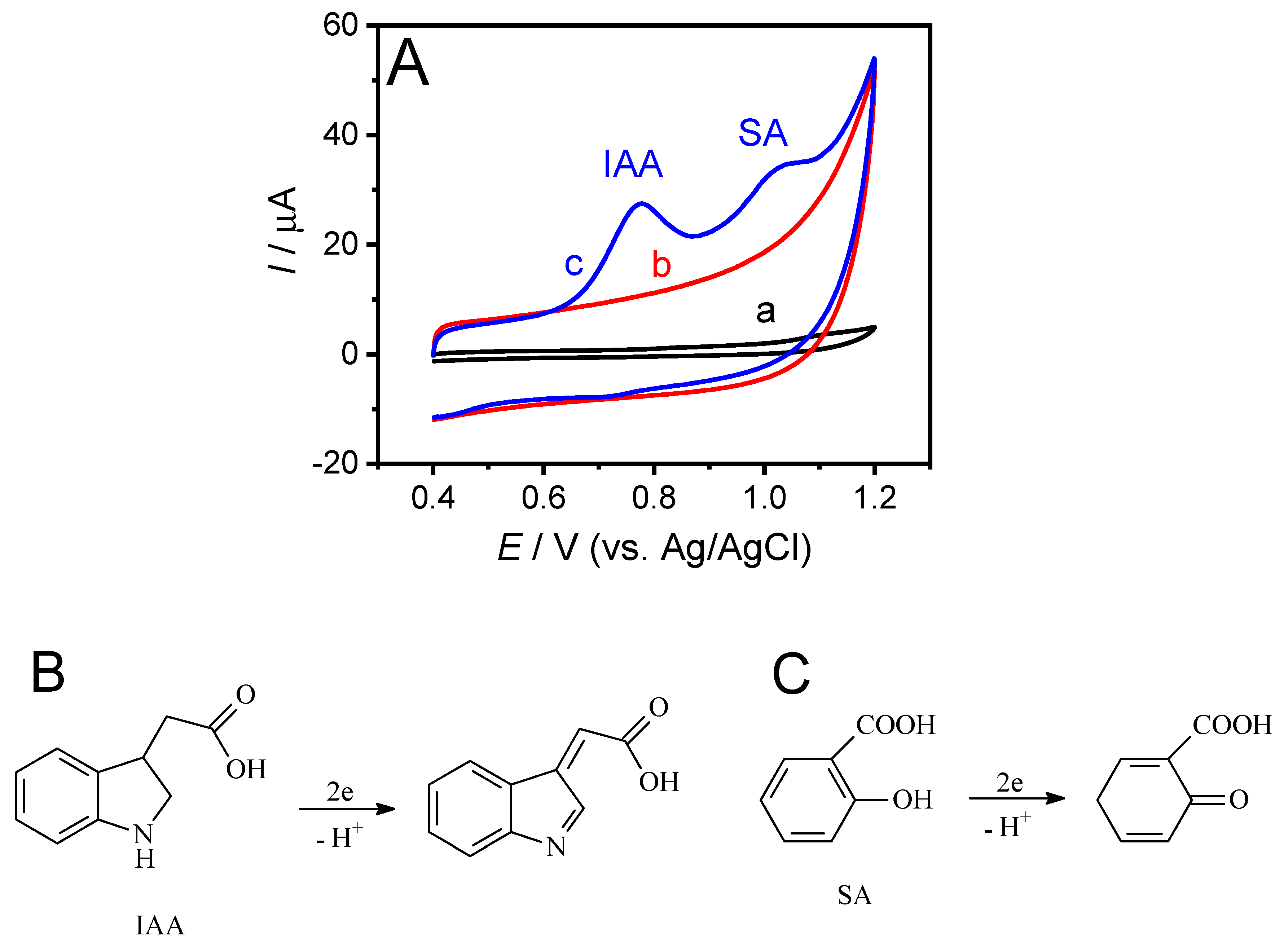 Sensors 19 05483 g003 Sensors 19 05483 g003