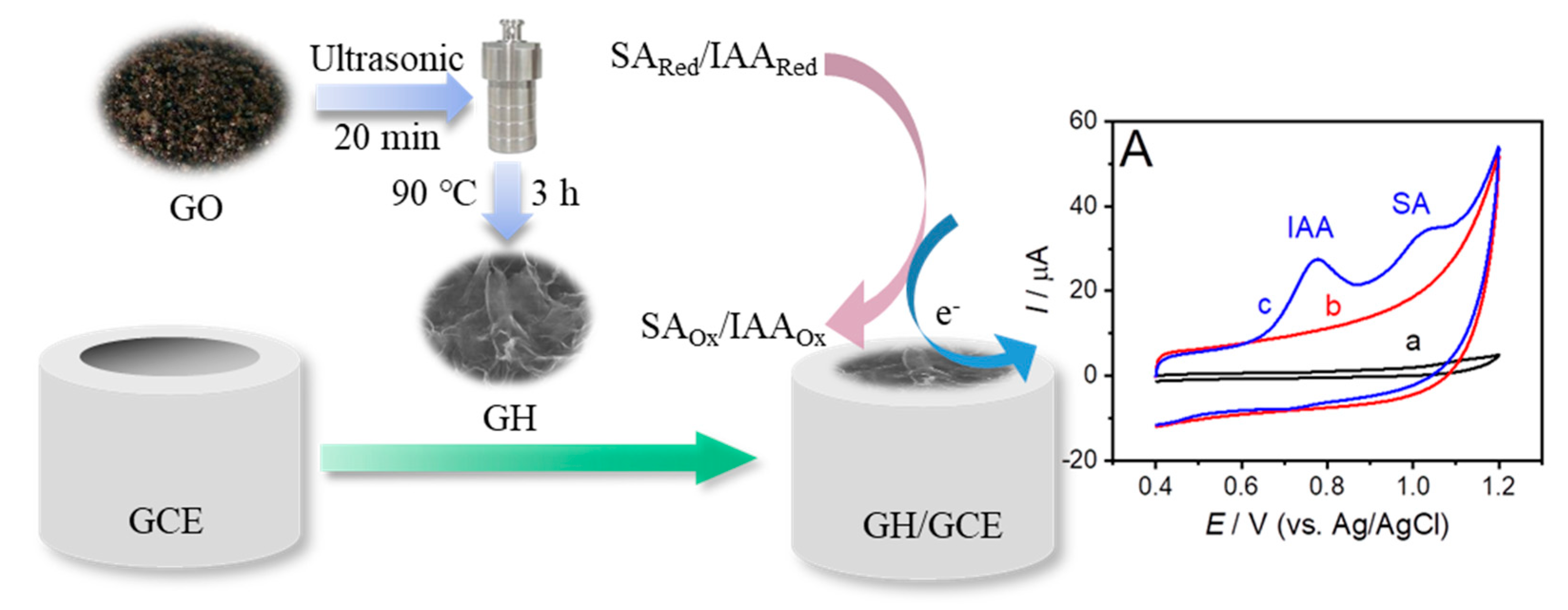 Sensors 19 05483 sch001 Sensors 19 05483 sch001