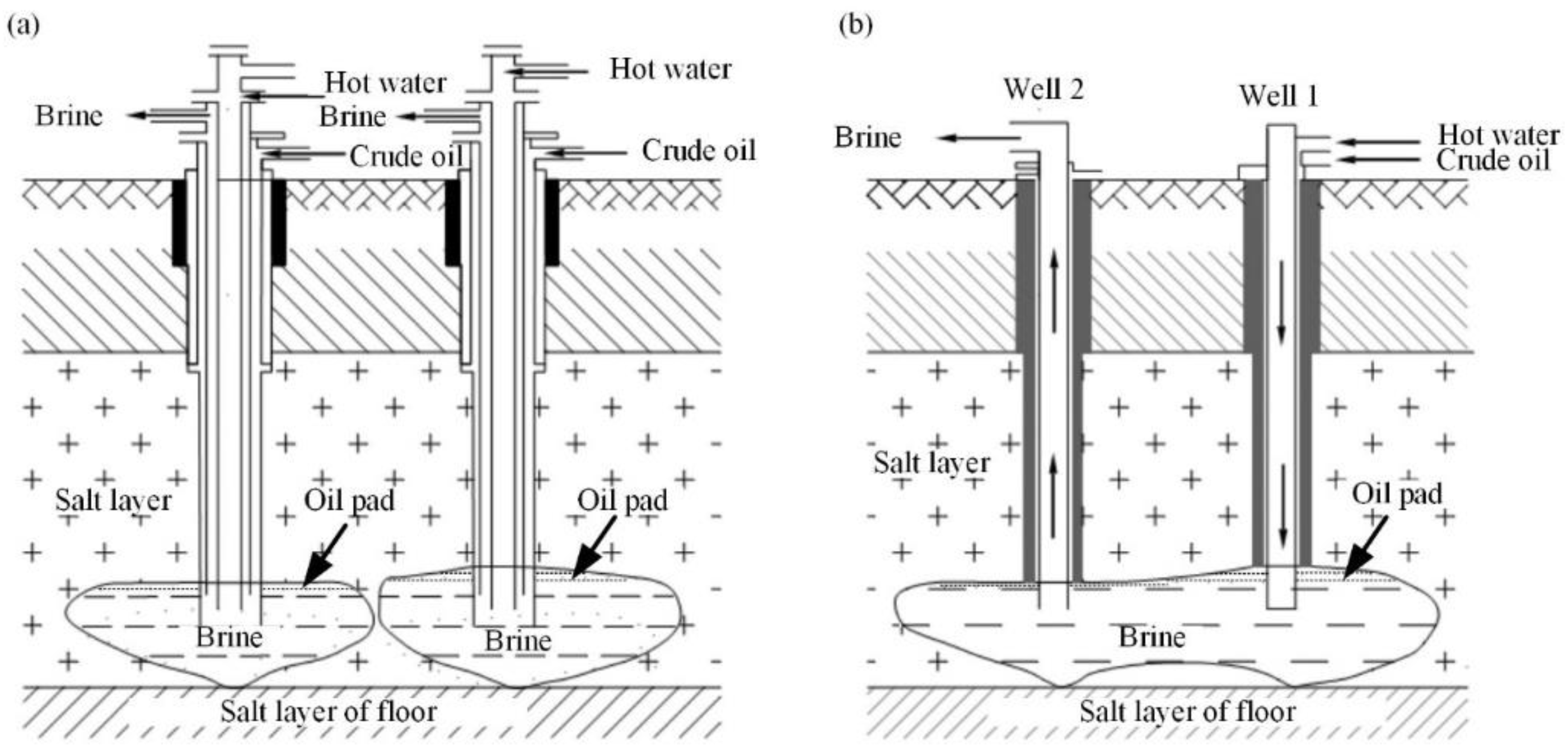 Sensors 19 05511 g001 Sensors 19 05511 g001