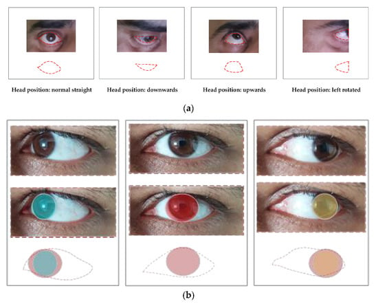 Sensors Free Full Text Gaze And Eye Tracking Techniques And Applications In Adas Html