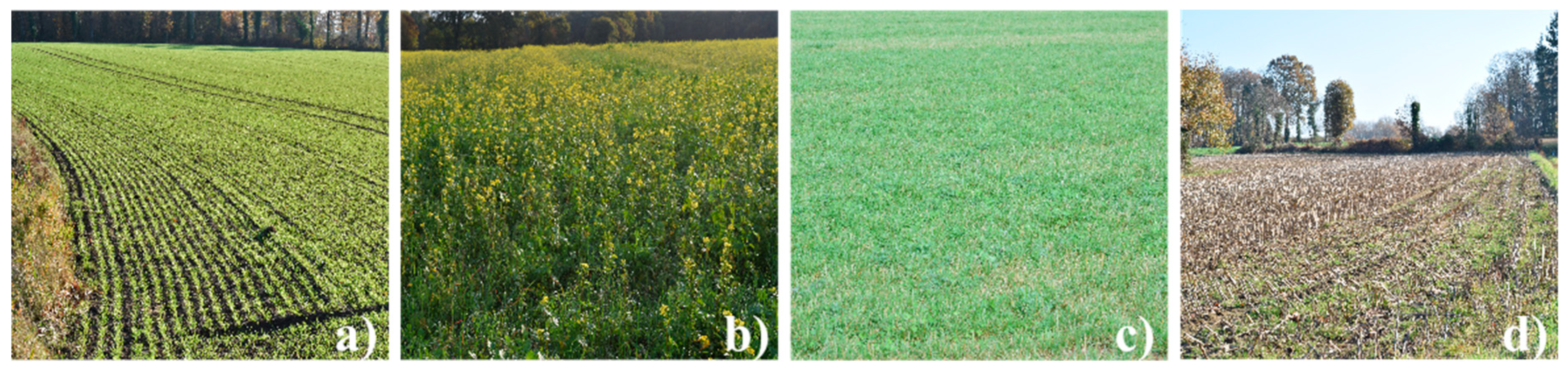 Sensors 19 05574 g002 Sensors 19 05574 g002