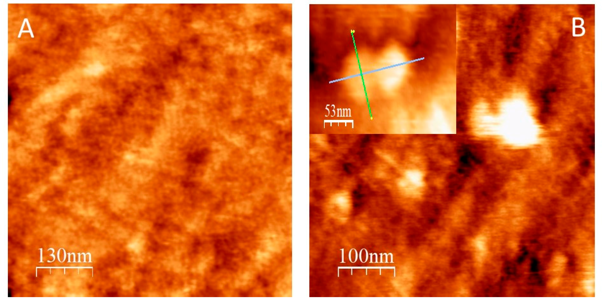 Sensors 19 05576 g004 Sensors 19 05576 g004