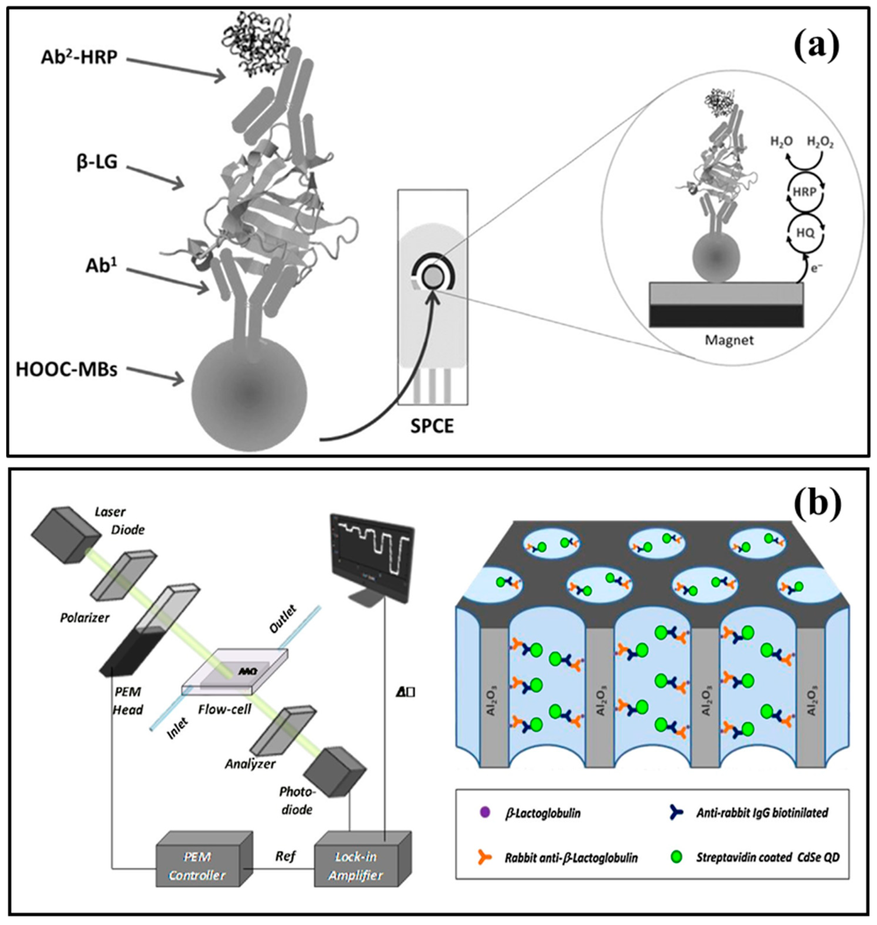 Sensors 20 00032 g001