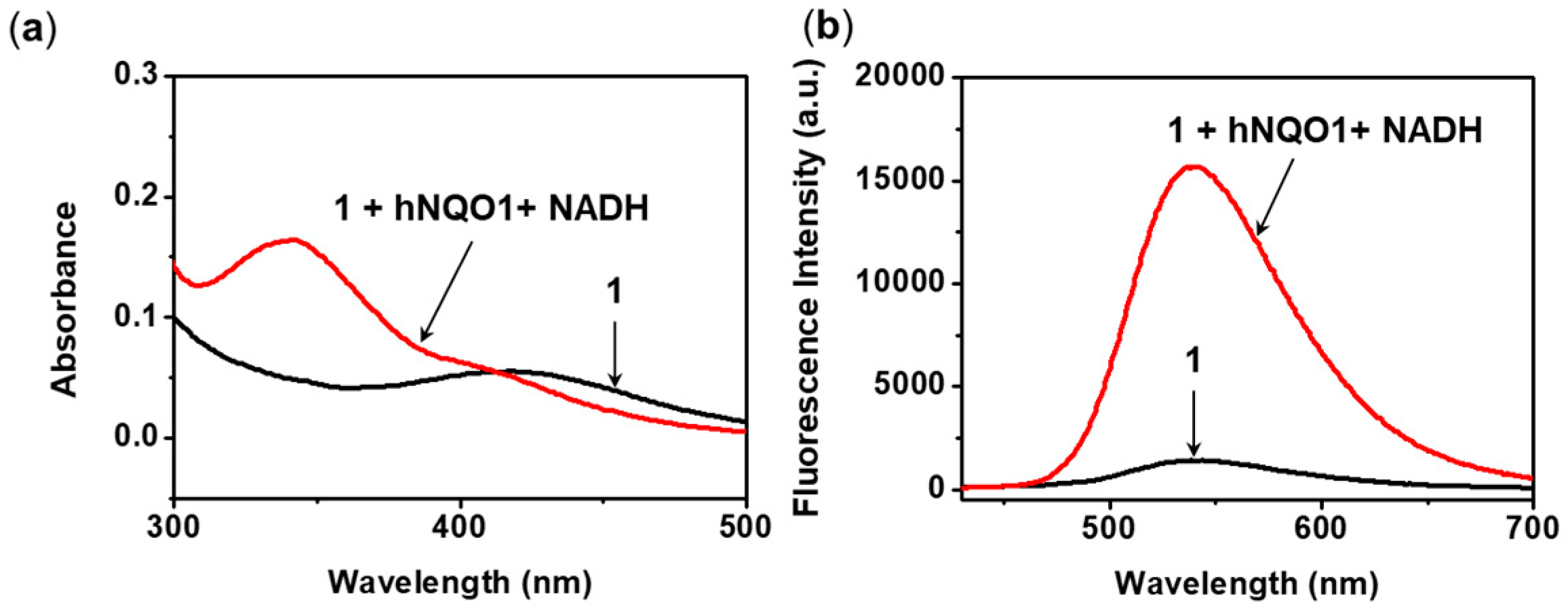 Sensors 20 00053 g001