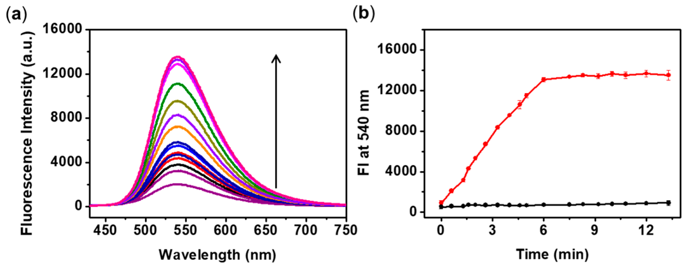 Sensors 20 00053 g002