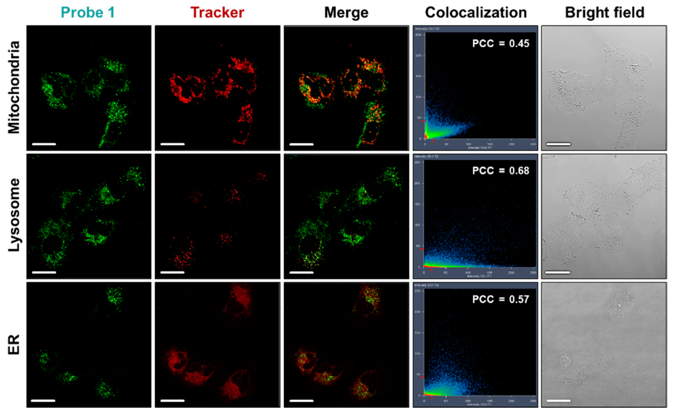 Sensors 20 00053 g006