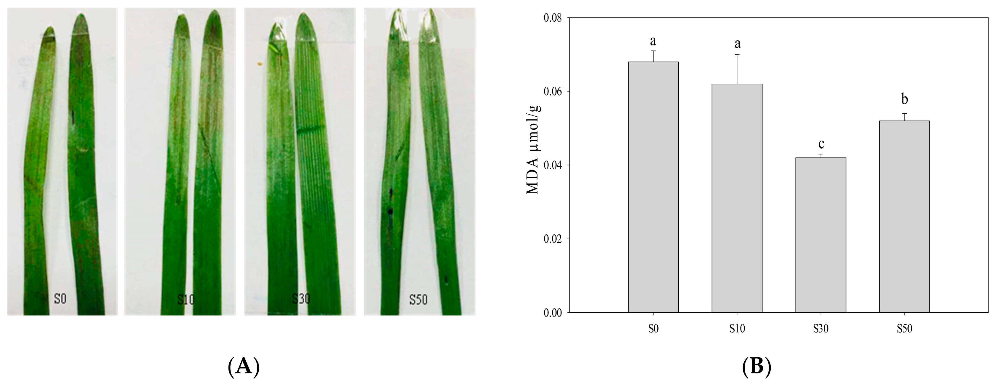 Sensors 20 00062 g006