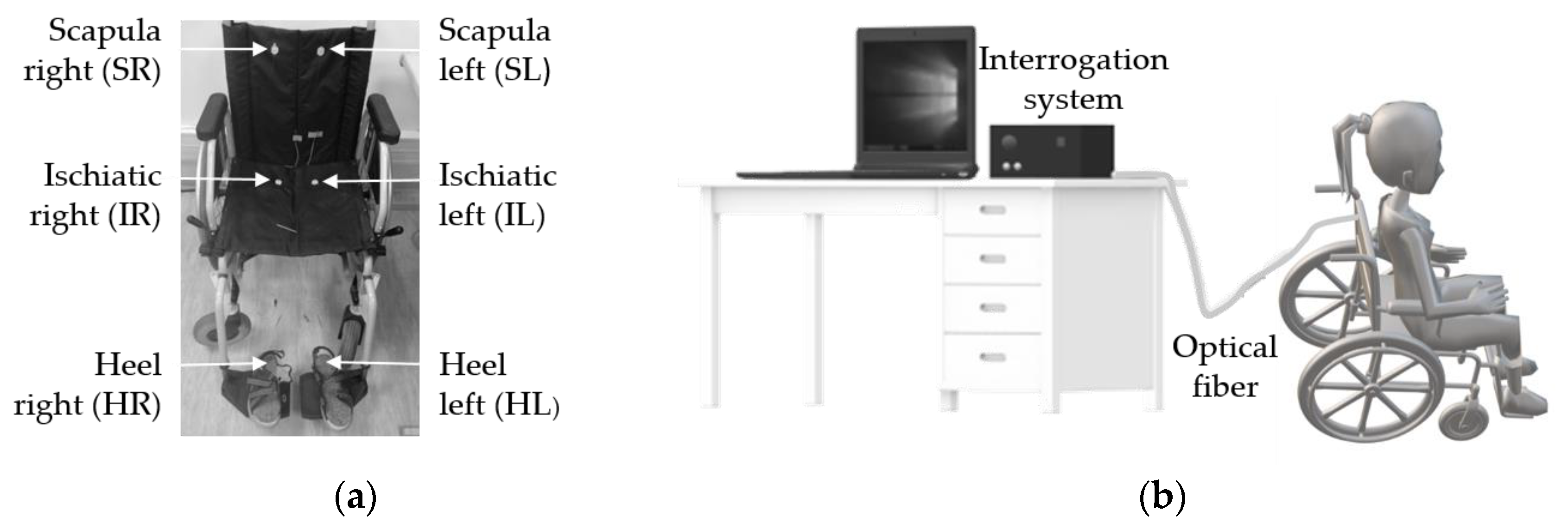 PDF) Influence of Different Types of Wheelchair Cushions for Pressure Ulcers  in View of the Experimental Approach