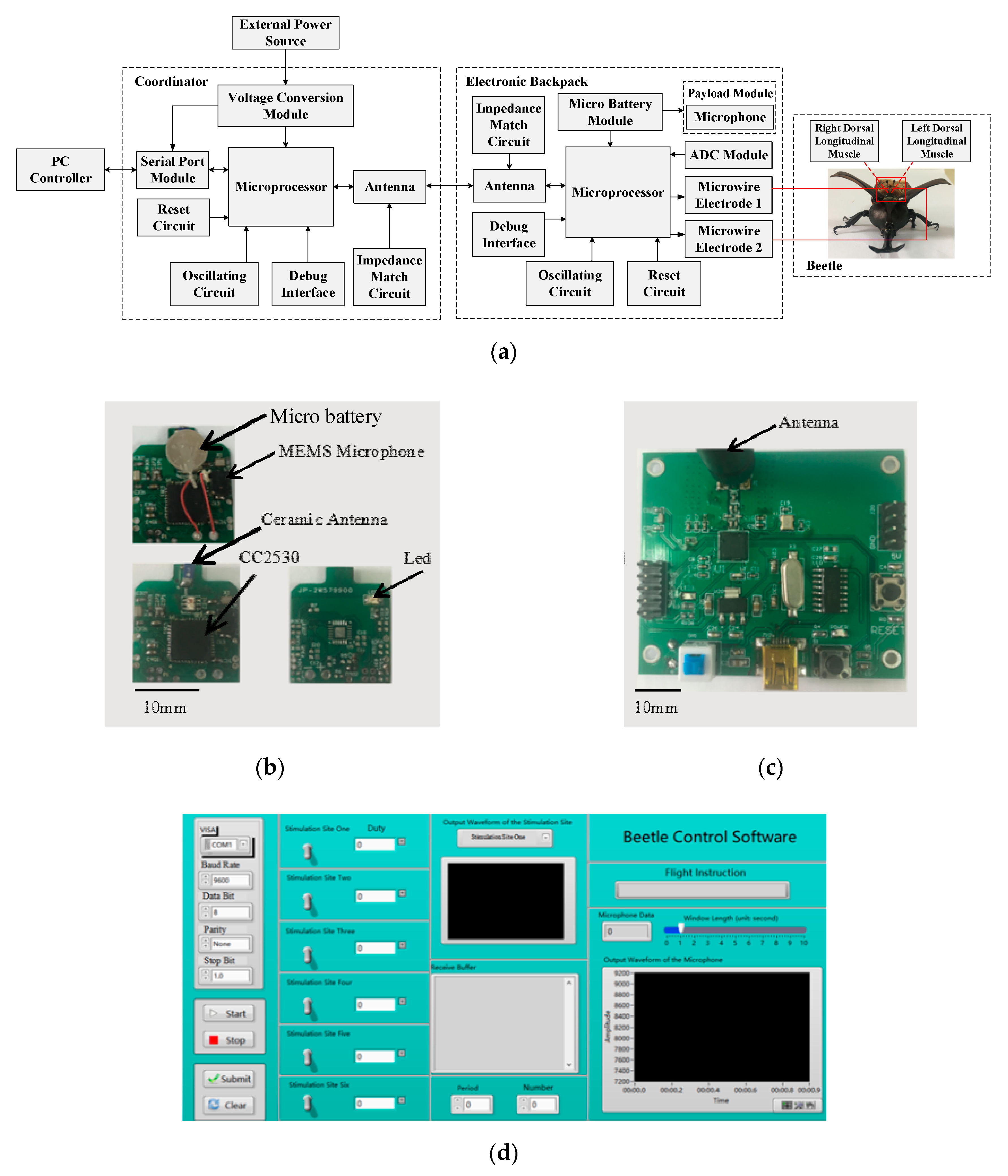 Sensors 20 00239 g003
