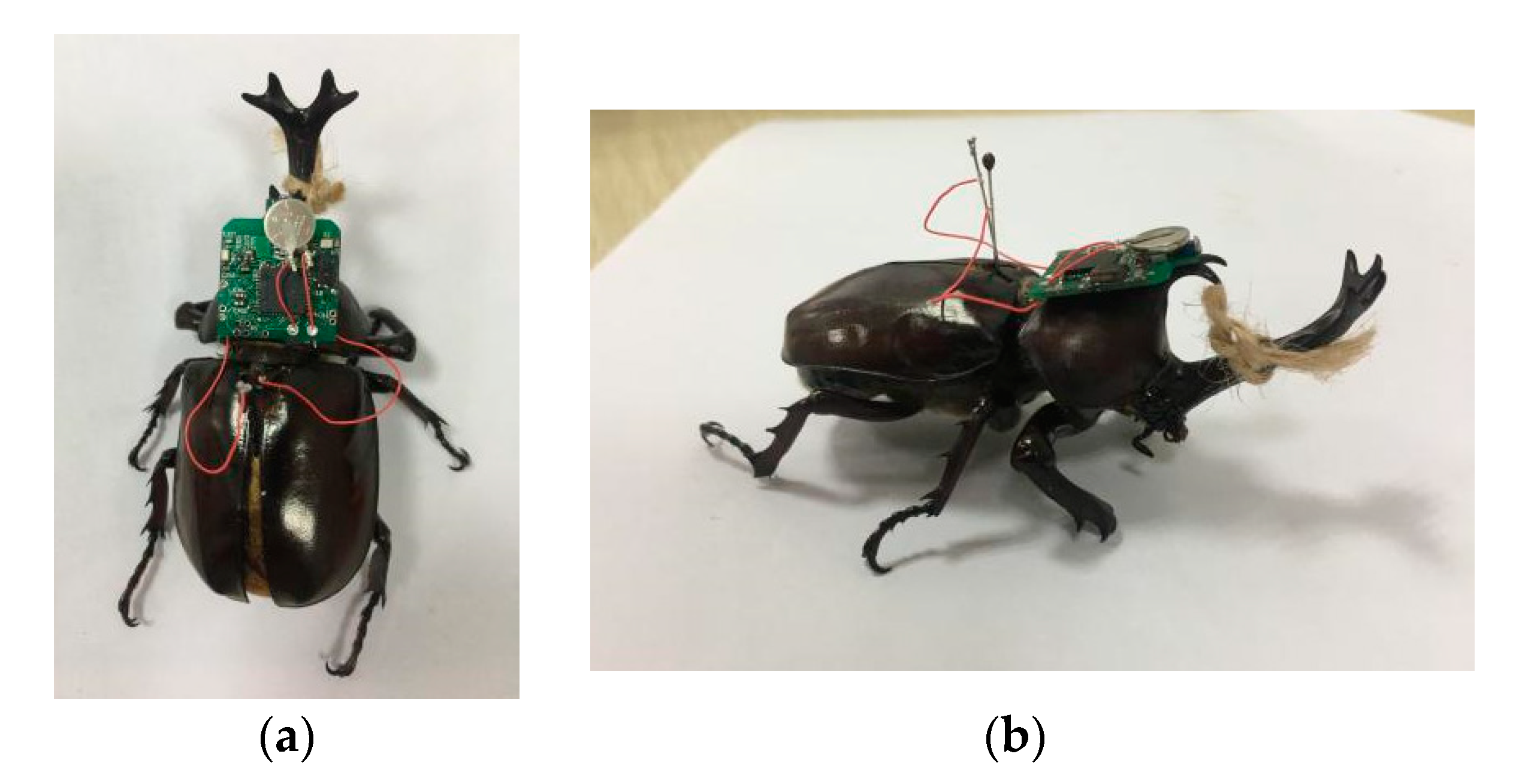 Sensors 20 00239 g005