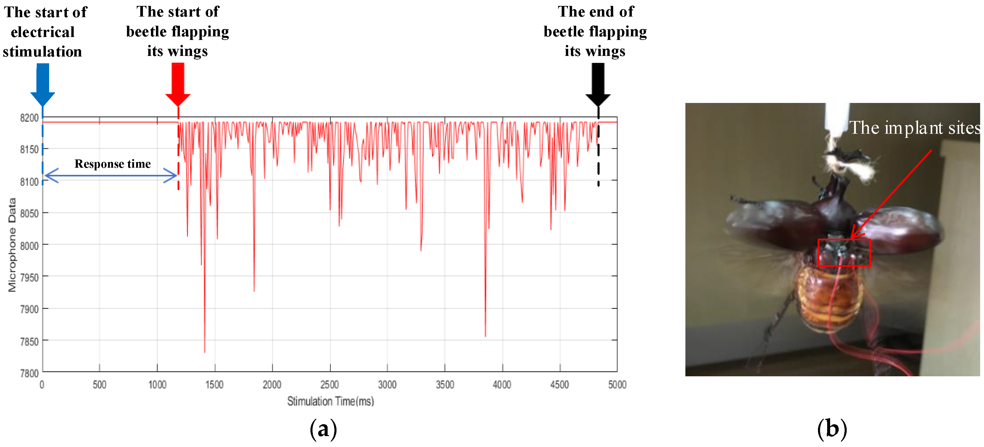 Sensors 20 00239 g007a