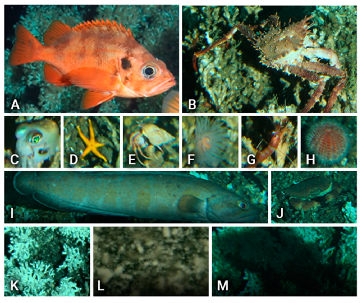 Sensors 20 00726 g002 Sensors 20 00726 g002