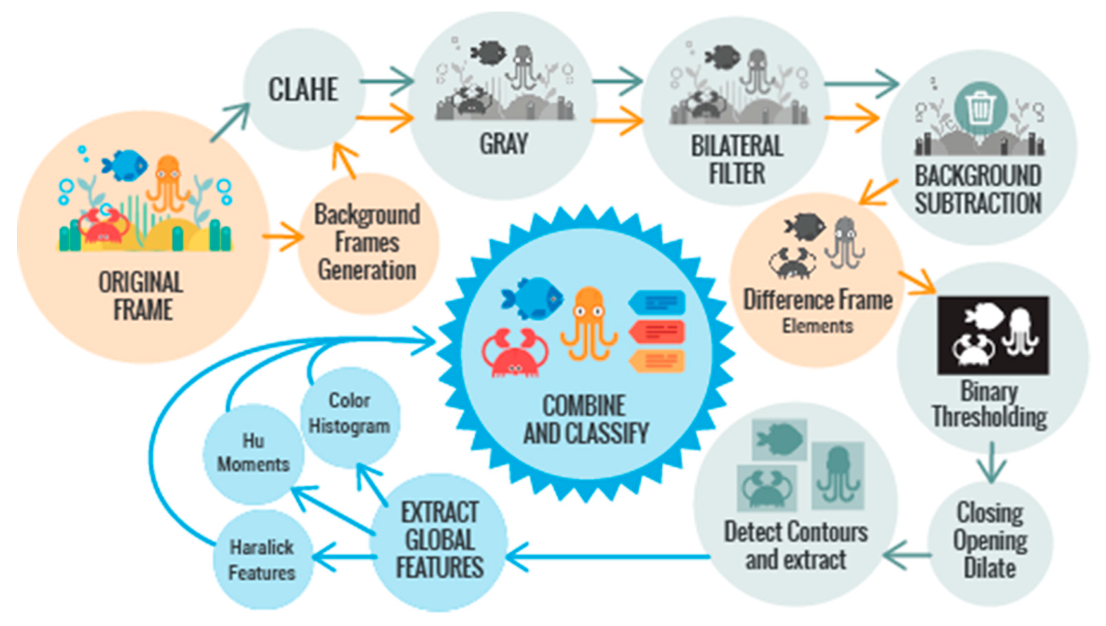 Sensors 20 00726 g003 Sensors 20 00726 g003
