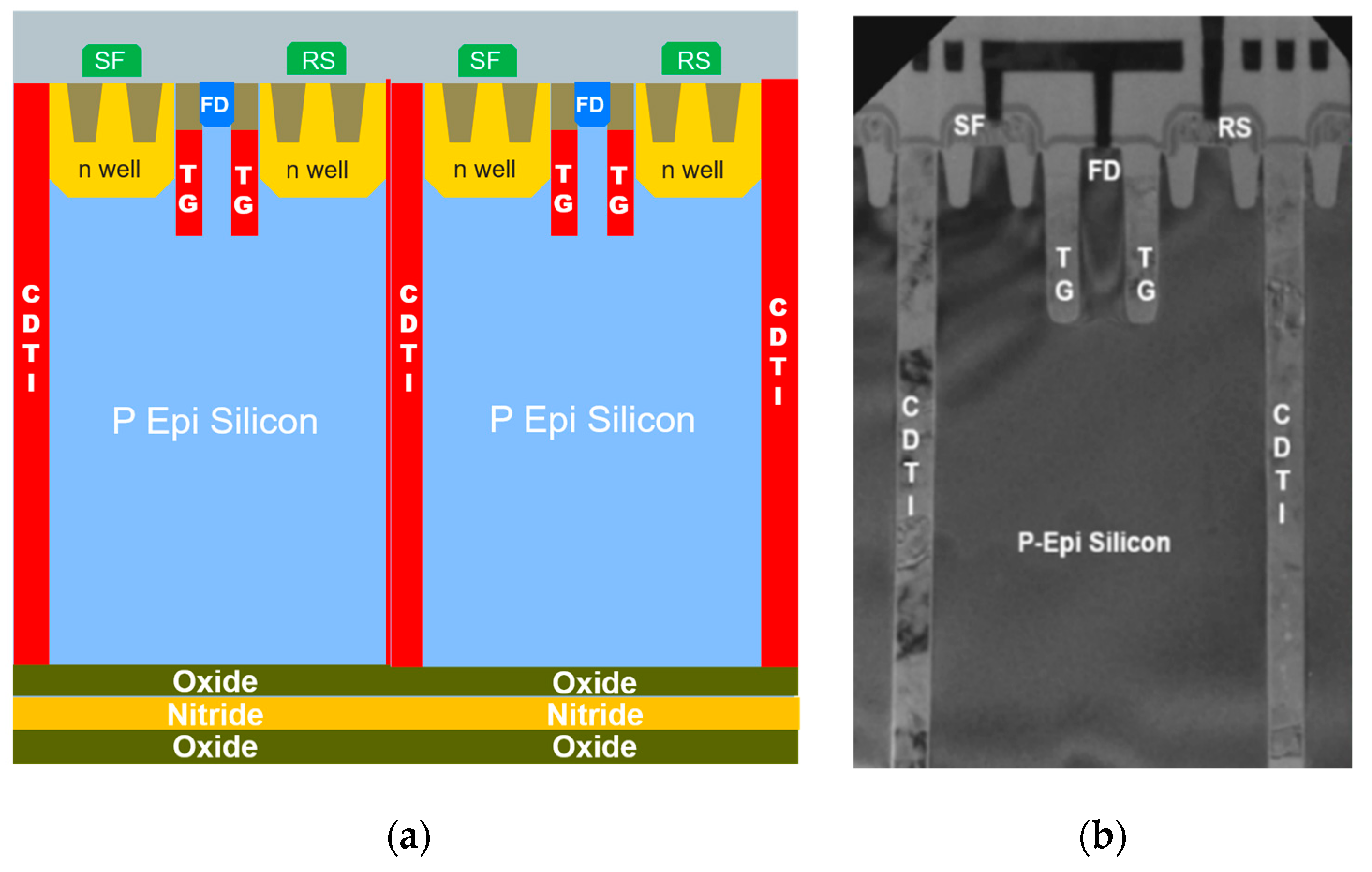 Sensors 20 00727 g001 Sensors 20 00727 g001