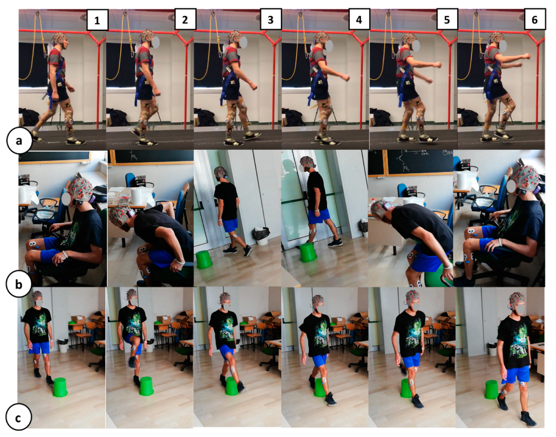 Sensors 20 00769 g002 Sensors 20 00769 g002