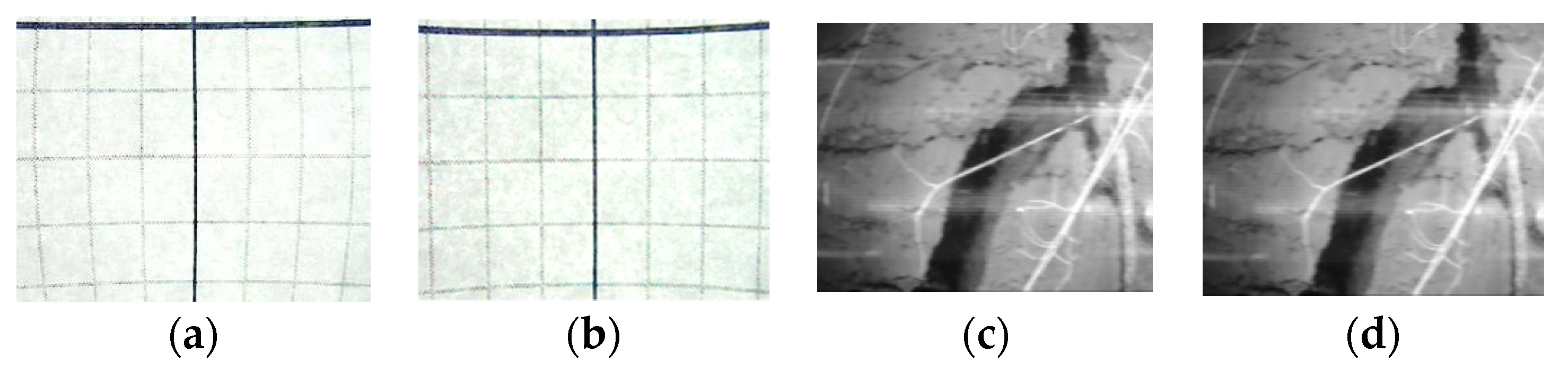 Sensors 20 00787 g007
