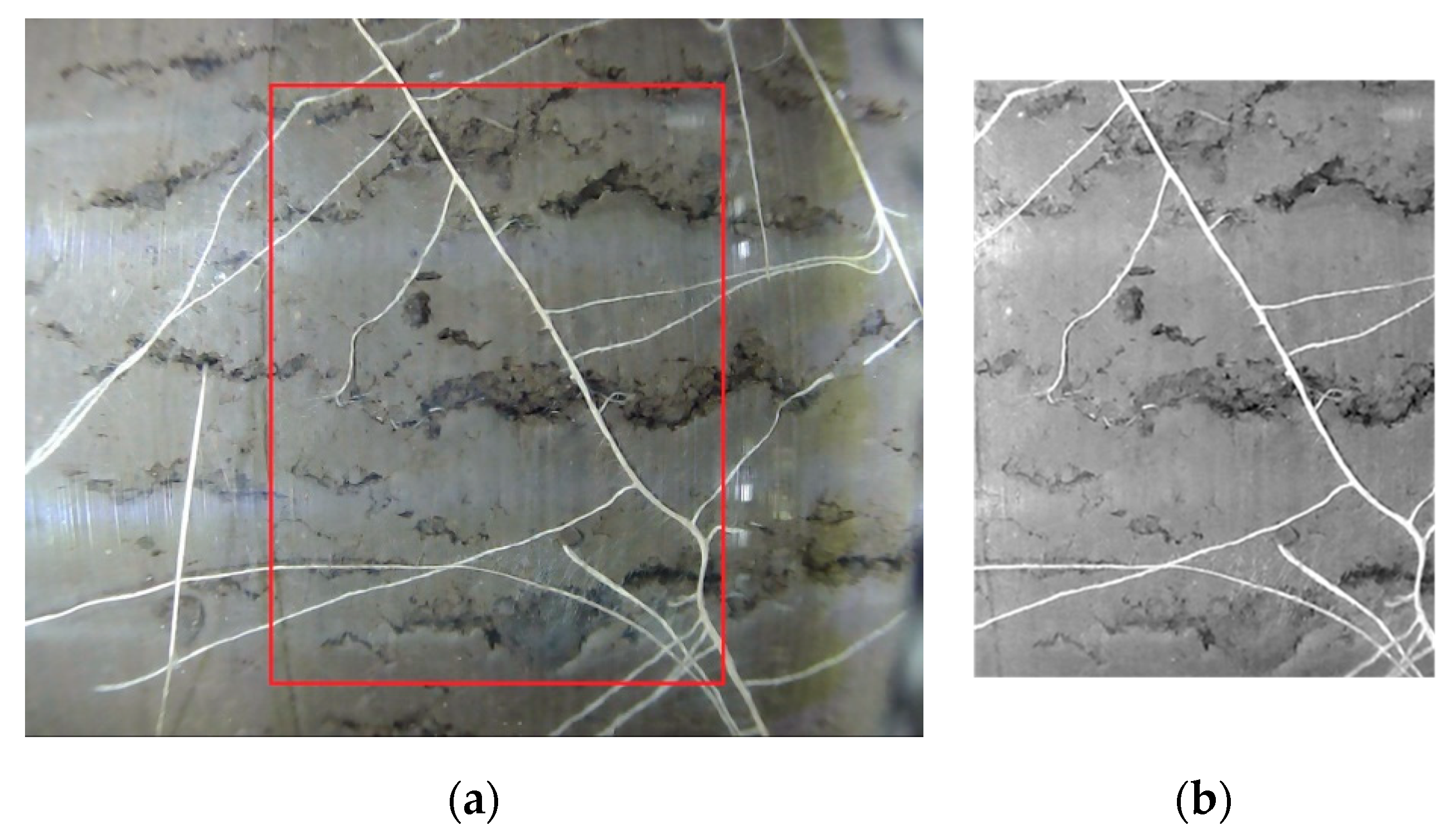 Sensors 20 00787 g009