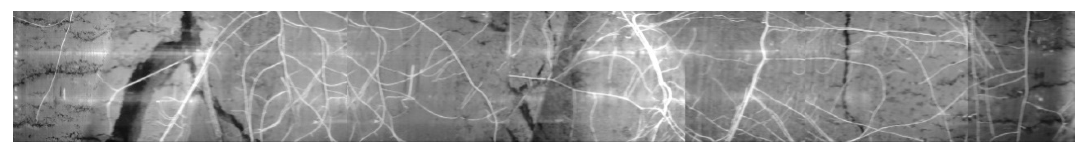 Sensors 20 00787 g010