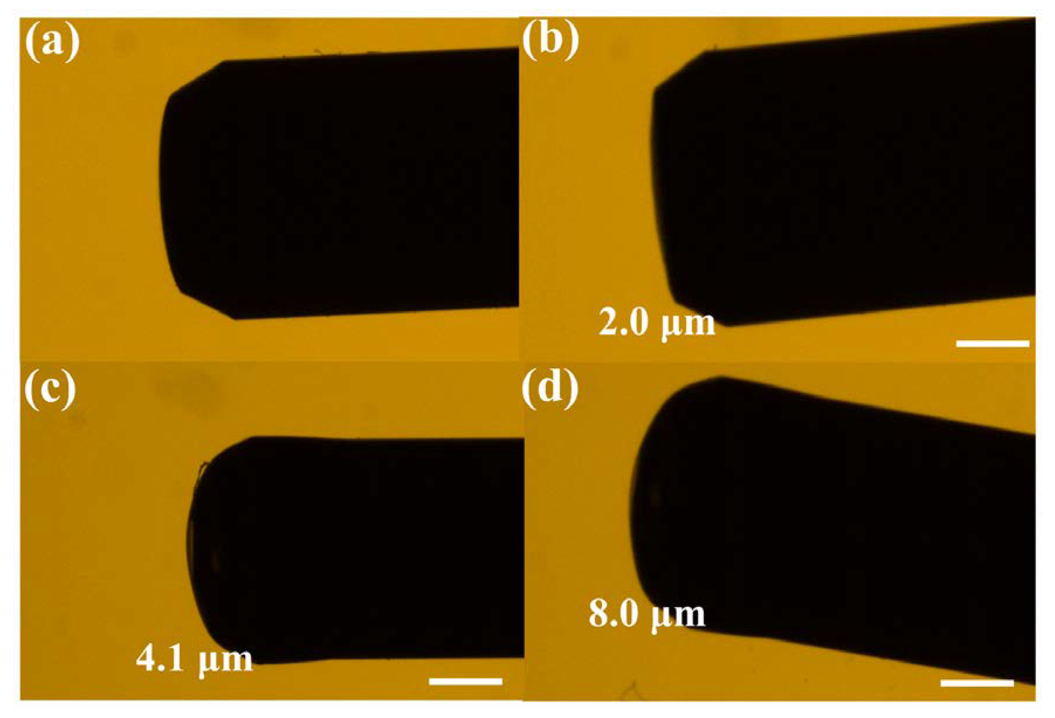 Sensors 20 00794 g003