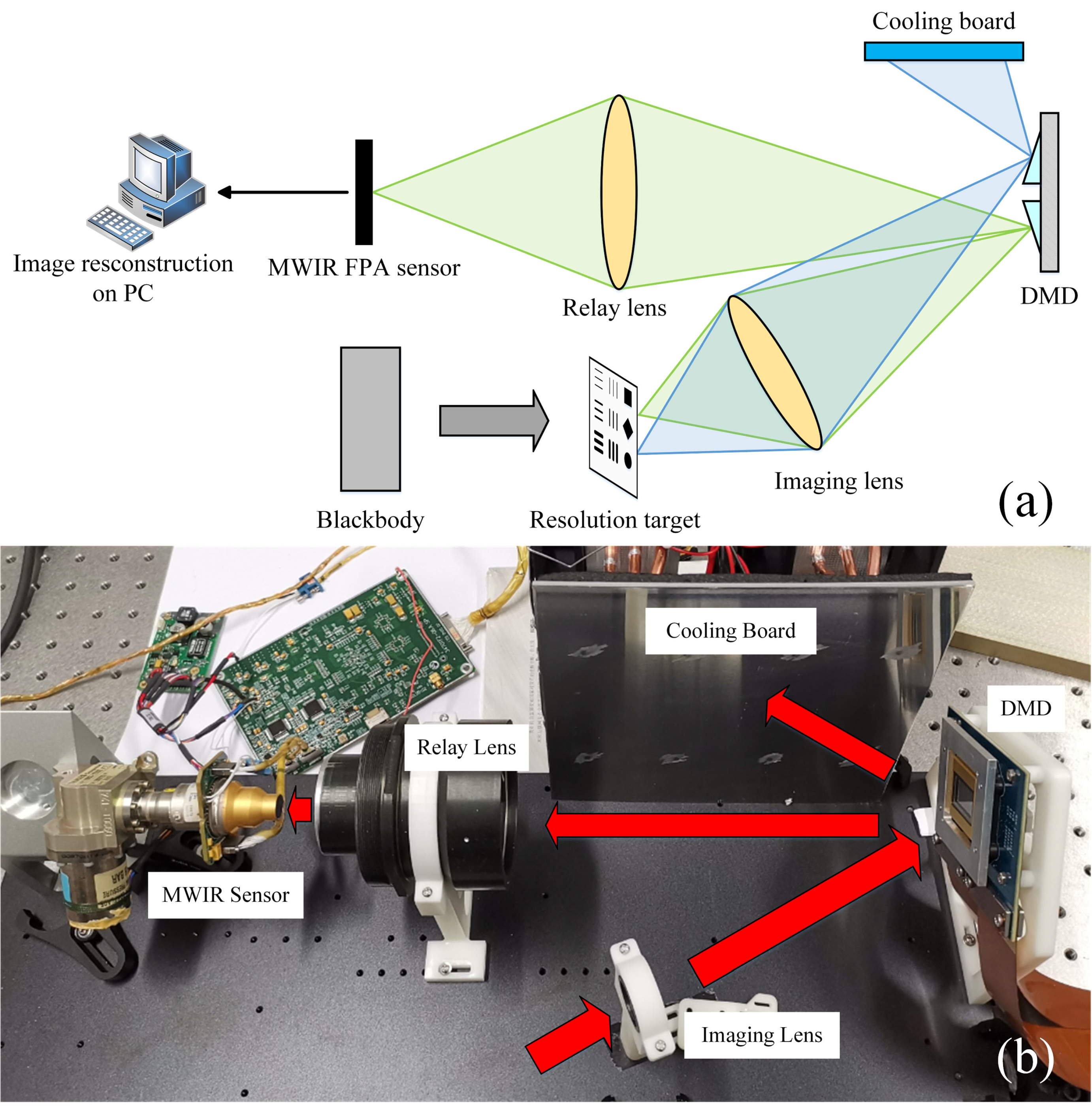 Sensors | Free Full-Text | DMD Mask Construction to Suppress Blocky  Structural Artifacts for Medium Wave Infrared Focal Plane Array-Based  Compressive Imaging | HTML
