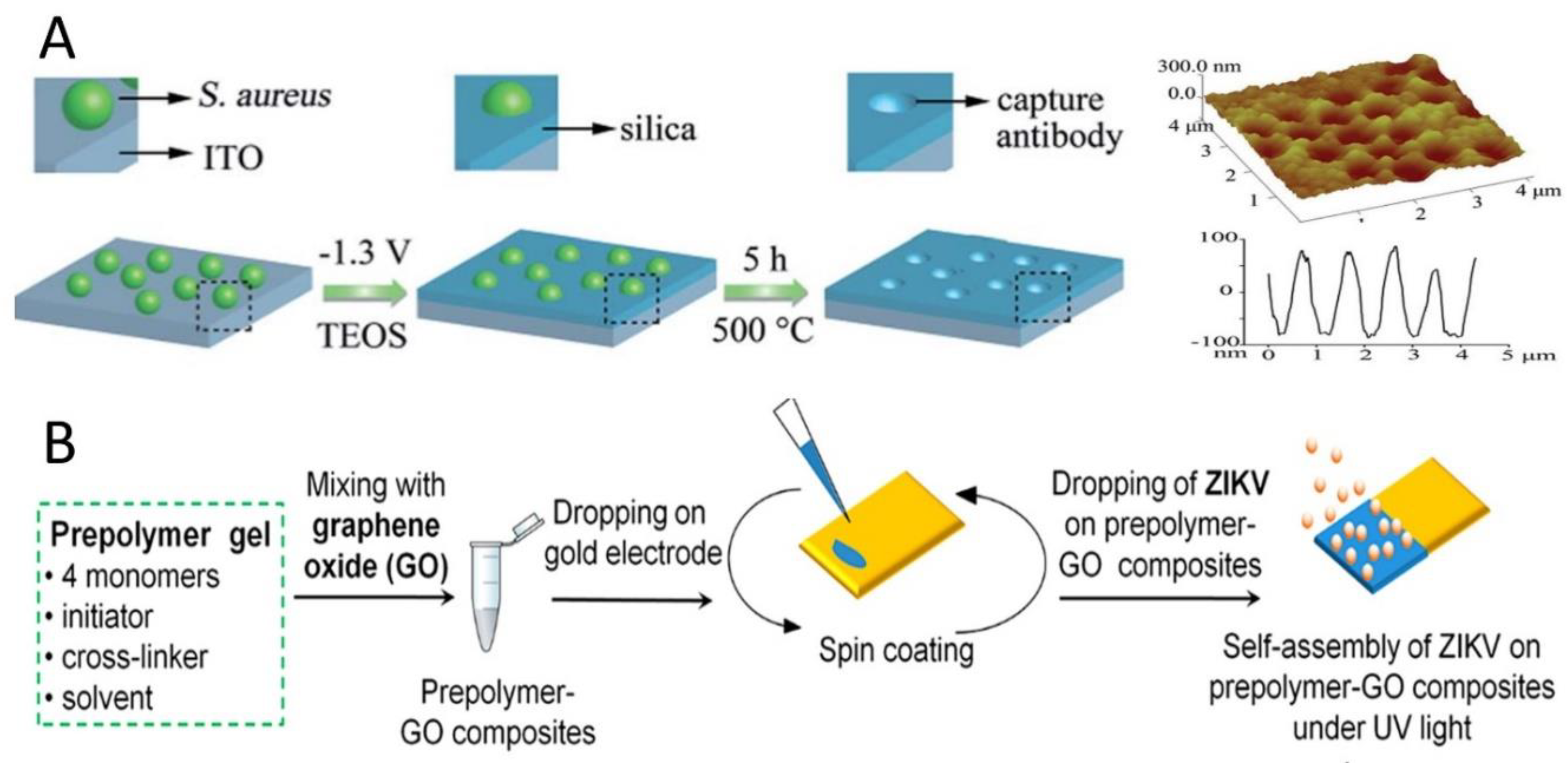 Sensors Free Full Text Molecularly Imprinted Polymers And Surface