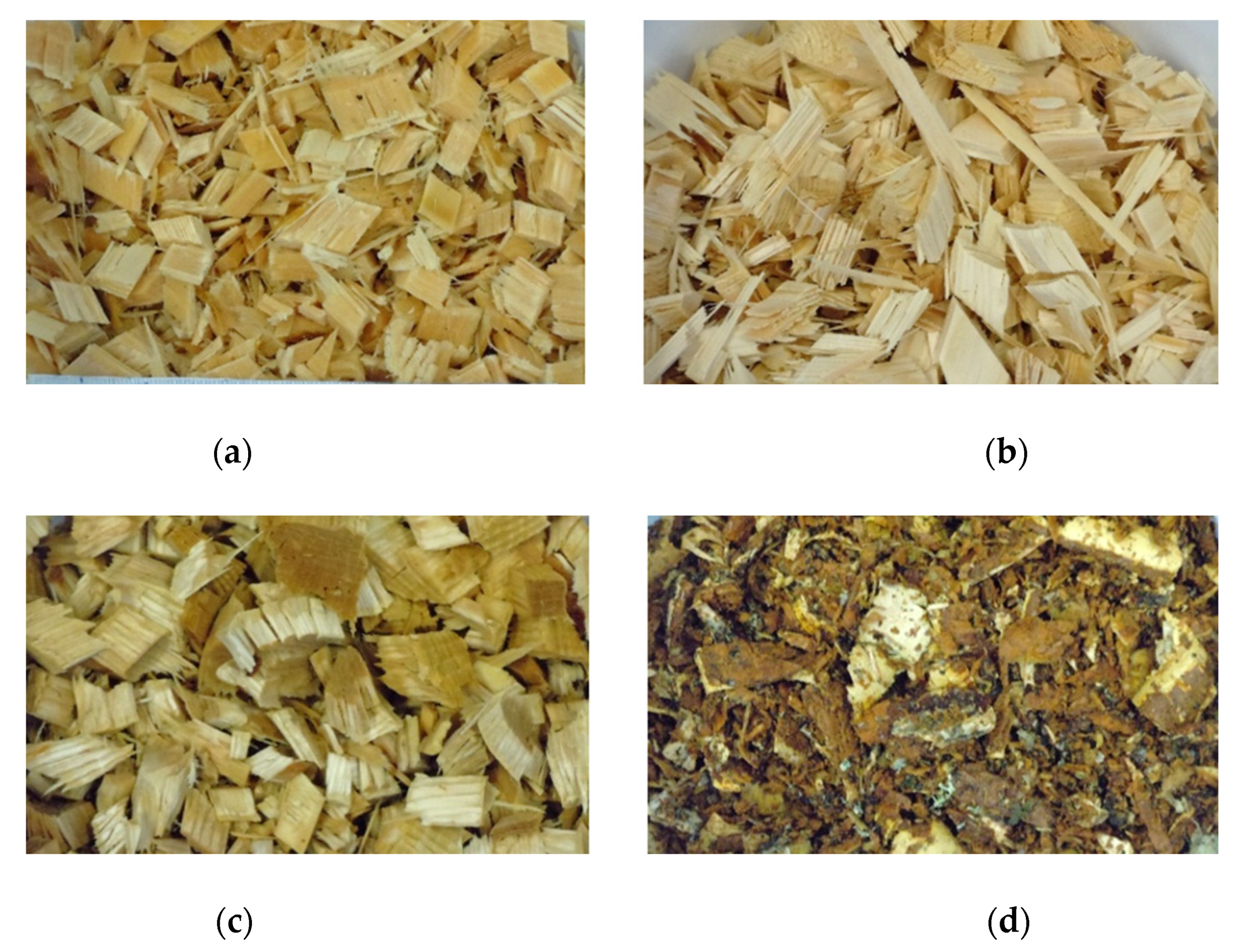 Sensors | Free Full-Text | Classification of Wood Chips Using Electrical  Impedance Spectroscopy and Machine Learning