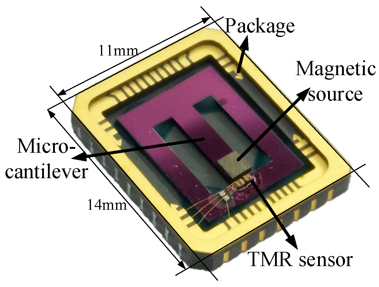 Sensors 20 01117 g008