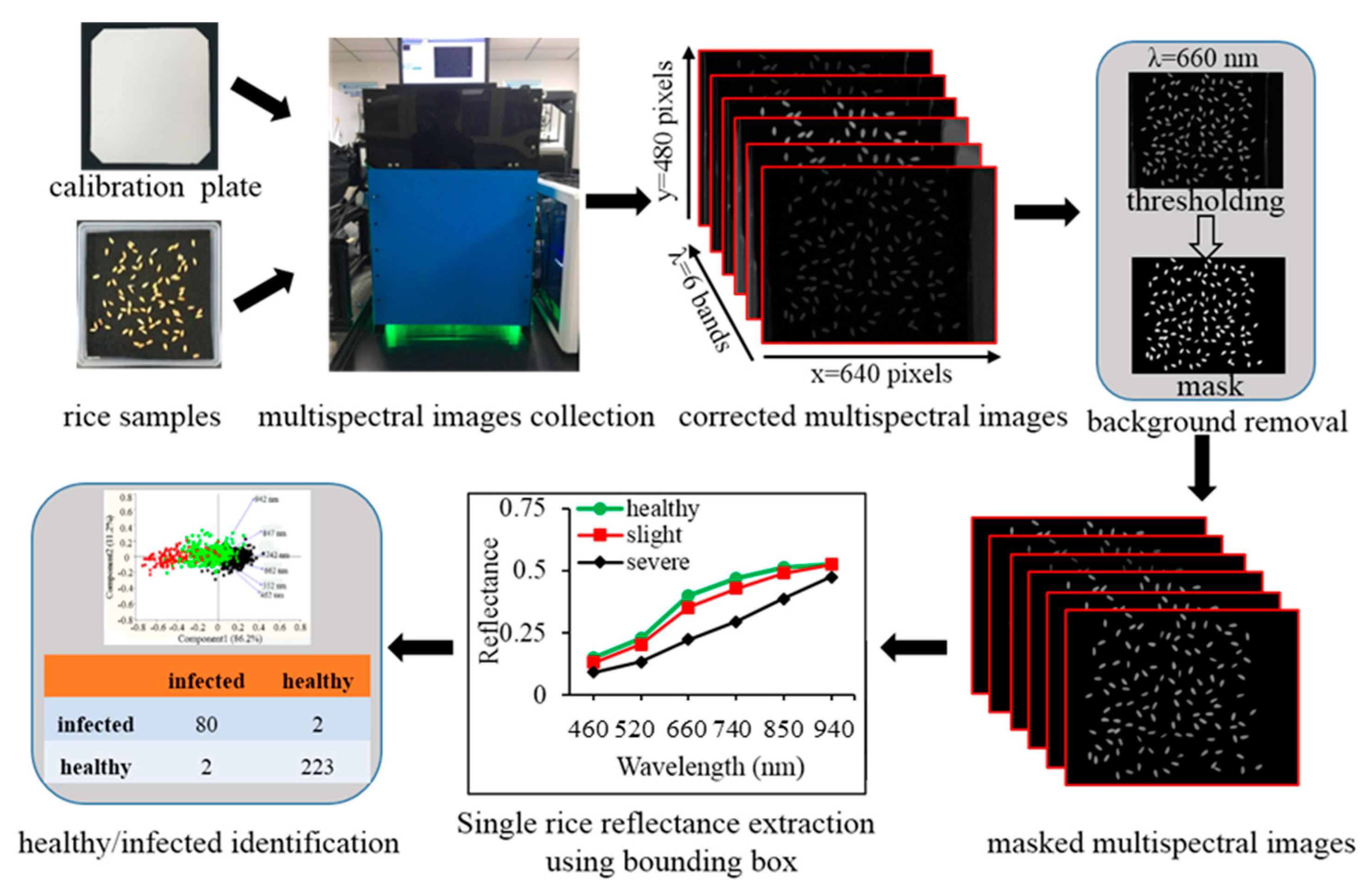 Sensors Free Full Text Development Of A Low Cost Narrow Band Multispectral Imaging System Coupled With Chemometric Analysis For Rapid Detection Of Rice False Smut In Rice Seed Html