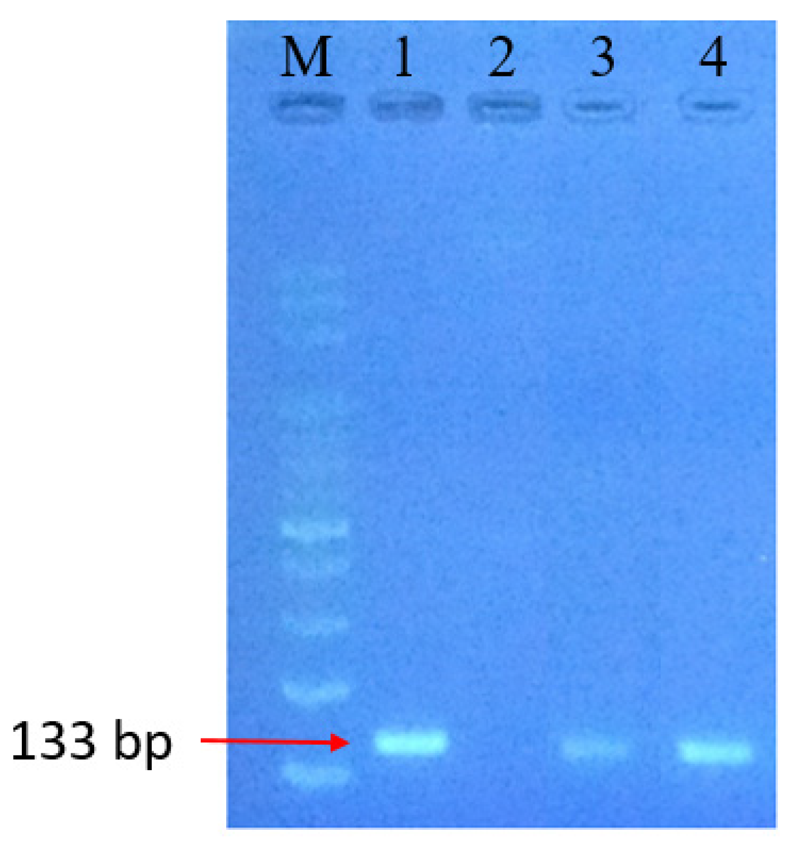 Sensors 20 01293 g006 Sensors 20 01293 g006