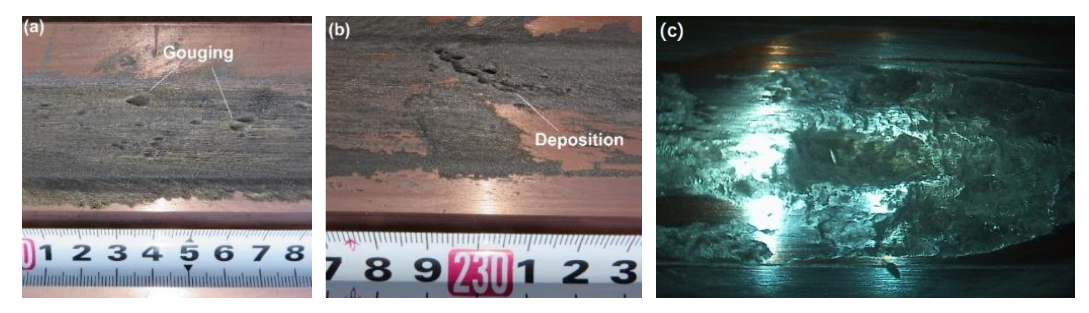 Sensors 20 01485 g001
