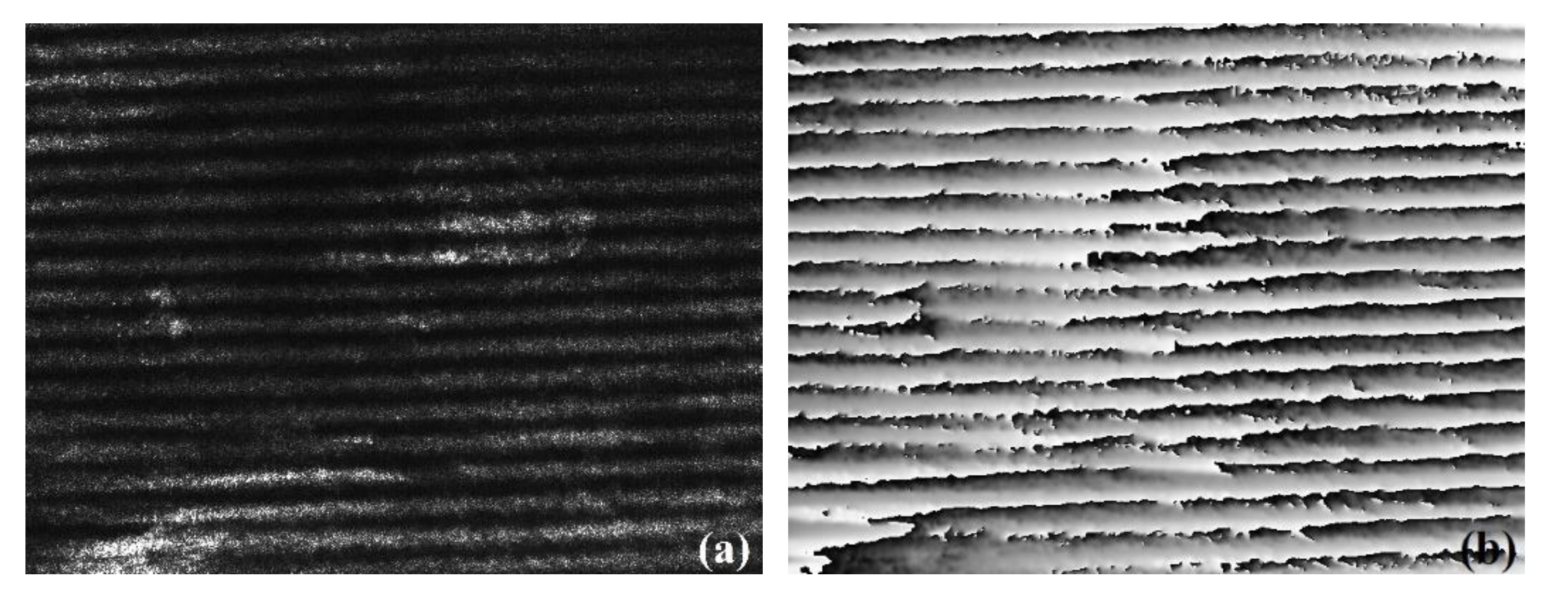 Sensors 20 01485 g002