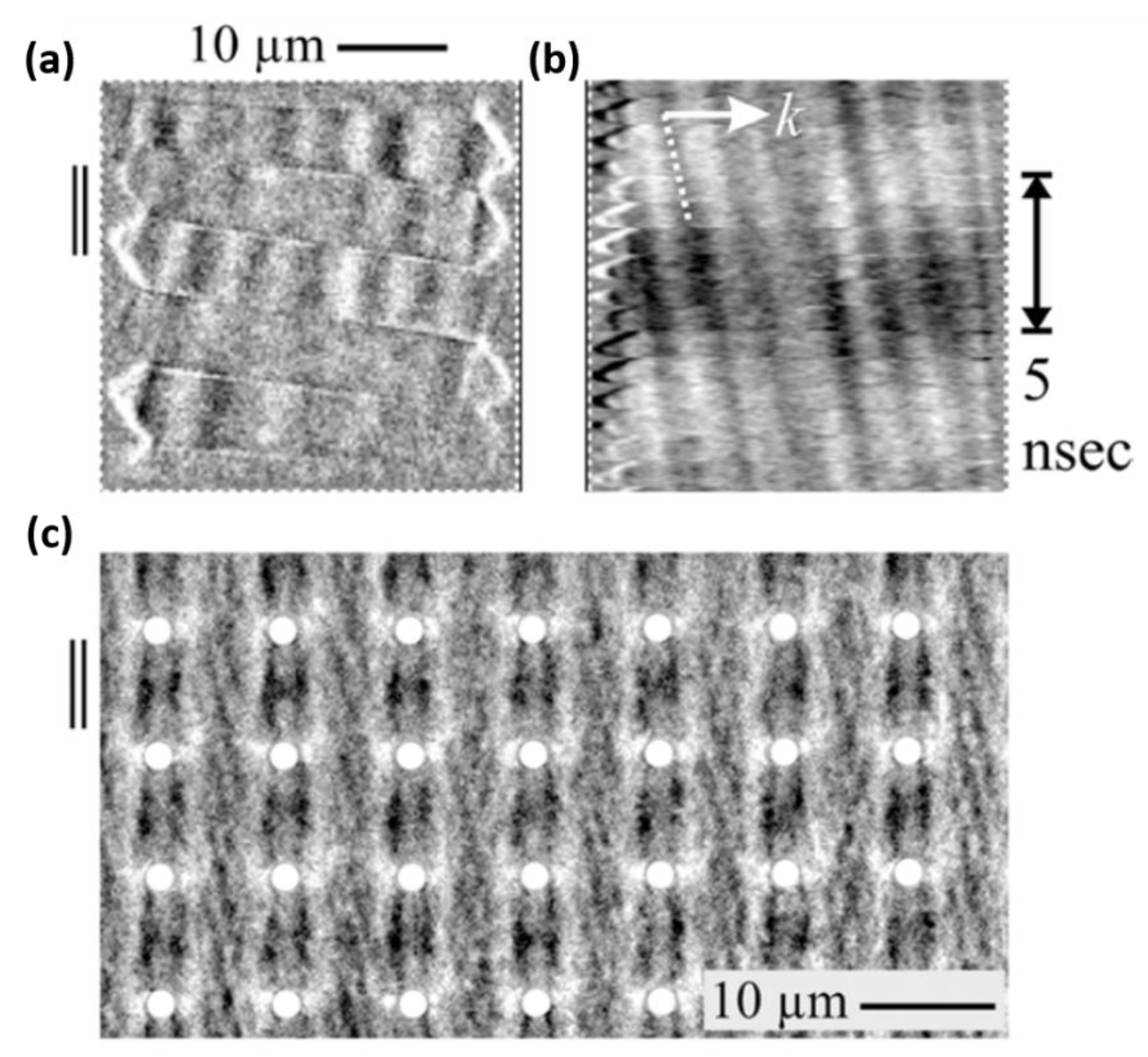Sensors 20 01532 g008