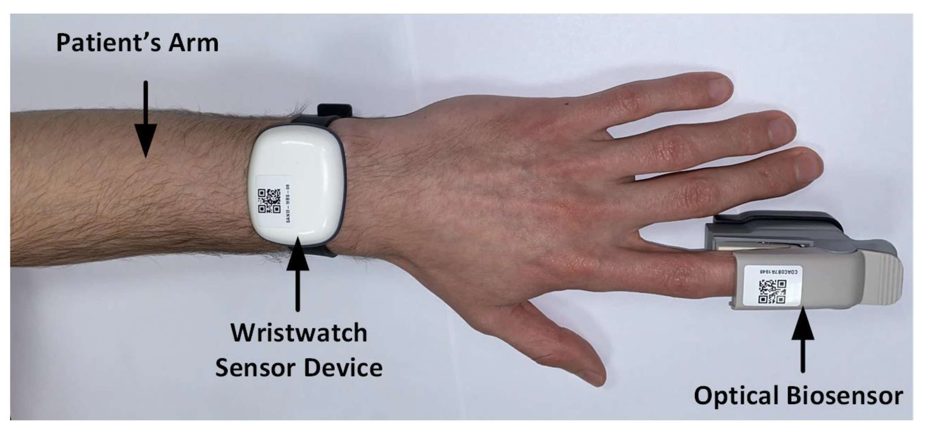 Sensor Watch