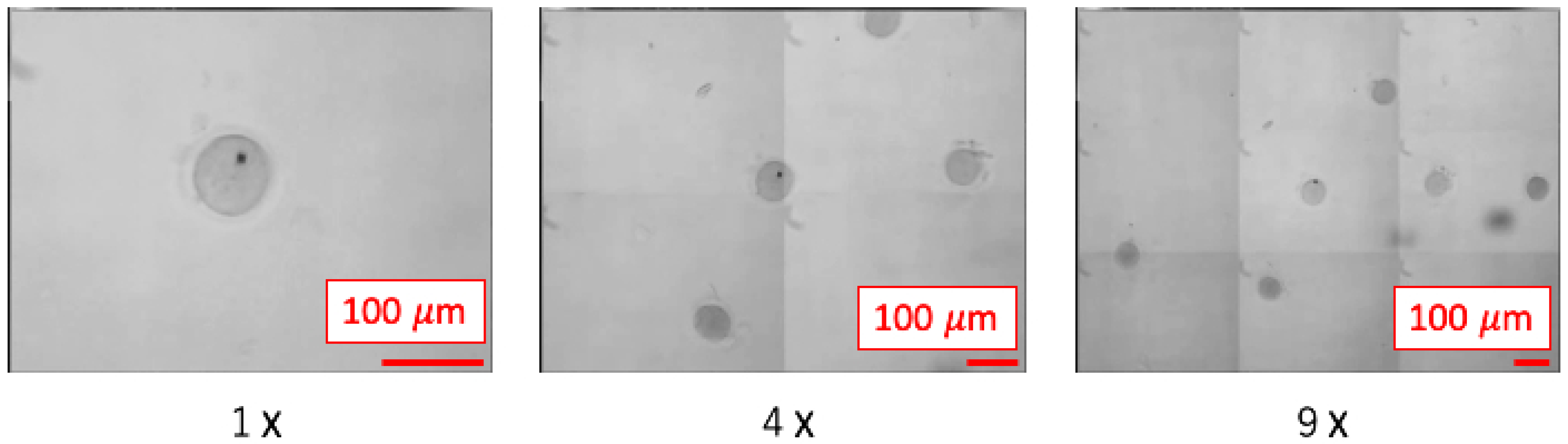 Sensors 20 01967 g015 Sensors 20 01967 g015